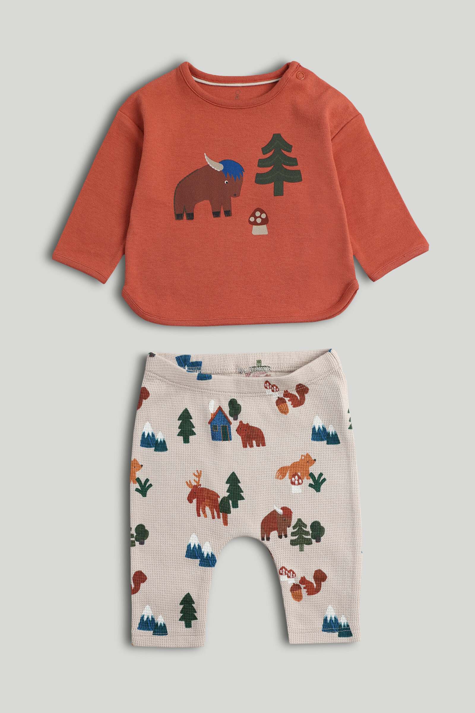Mothercare Newborn Boys Forrest Collage Printed Full Sleeves 2-Piece Top and Legging Set - Multi