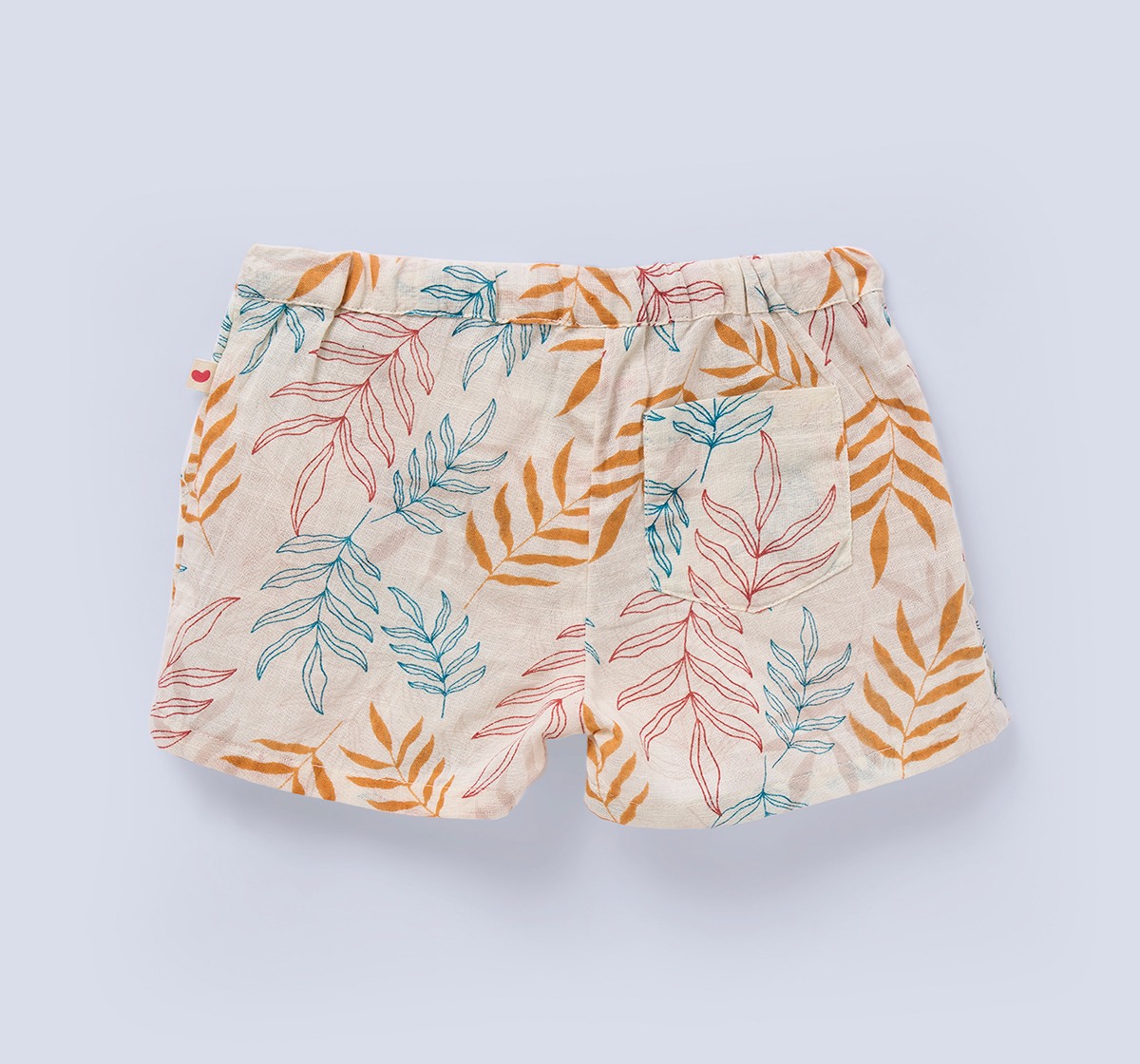 Ed-a-Mamma Baby Boys Sets Multi