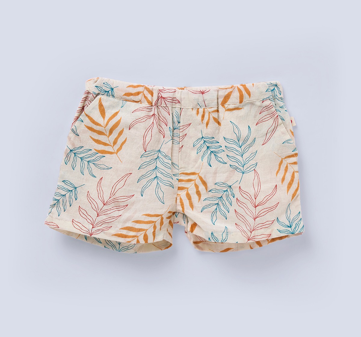 Ed-a-Mamma Baby Boys Sets Multi