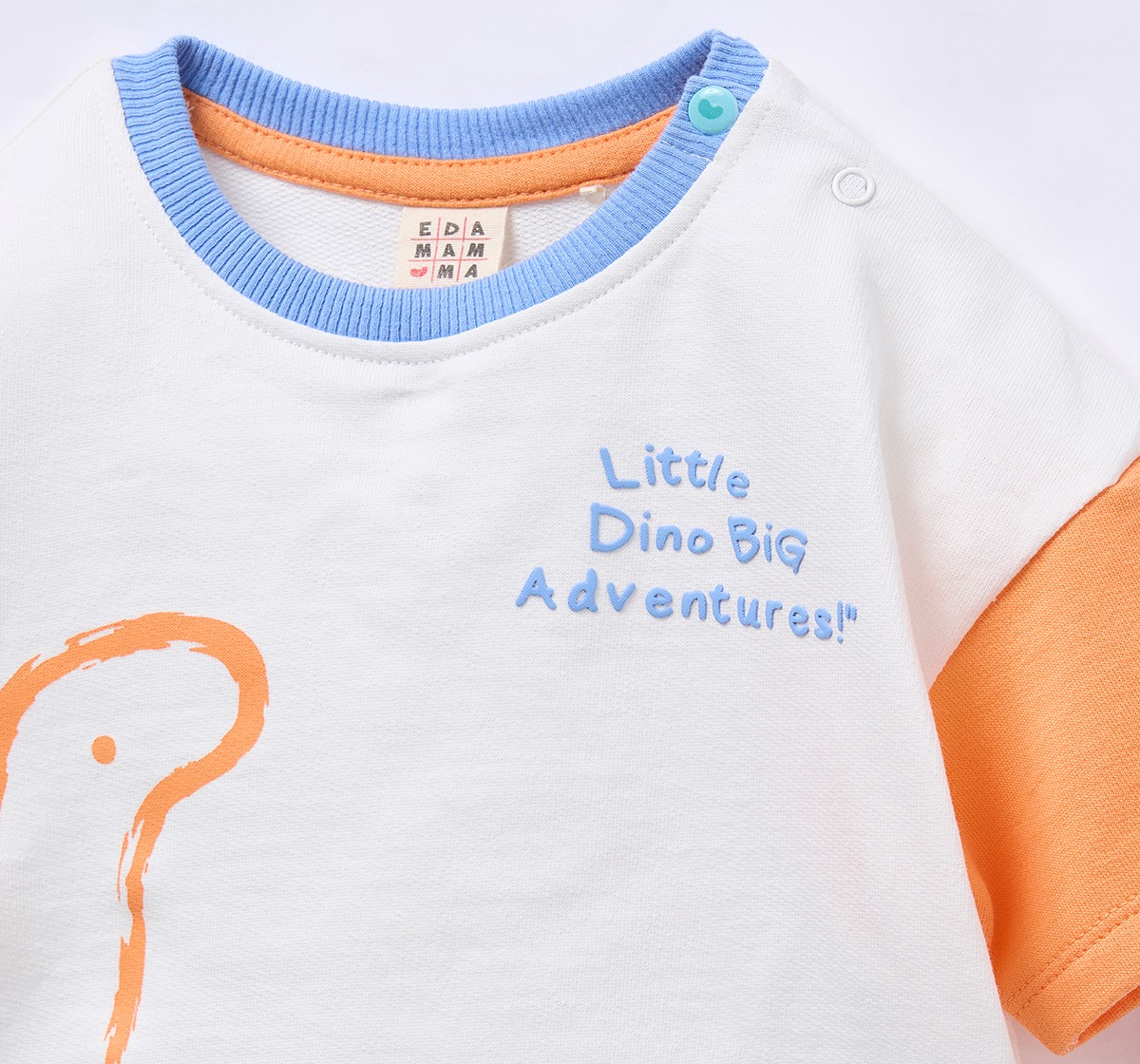 Ed-a-Mamma Baby Boys Sets Multi