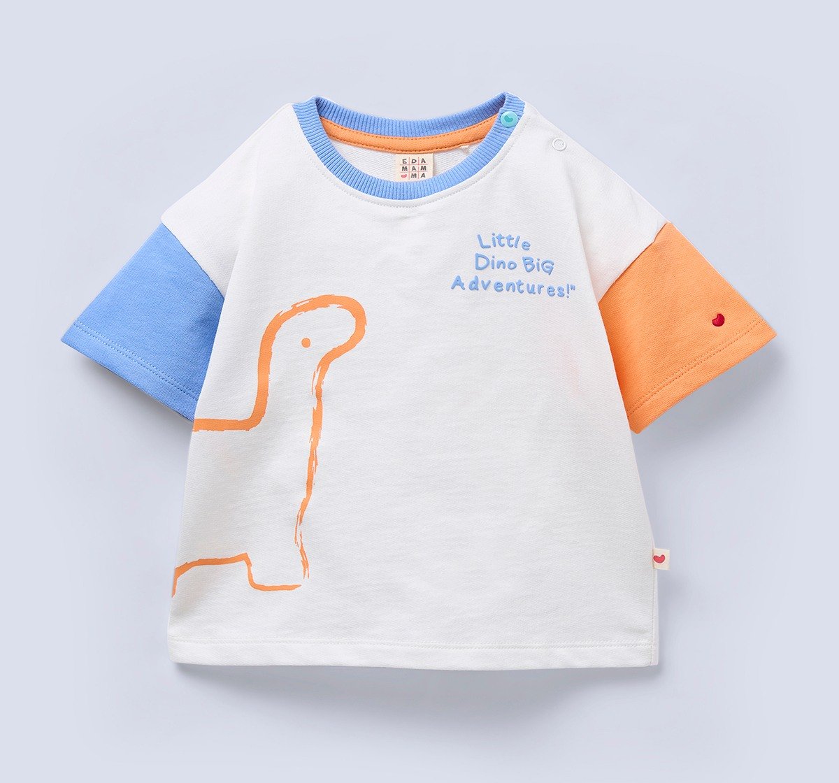 Ed-a-Mamma Baby Boys Sets Multi