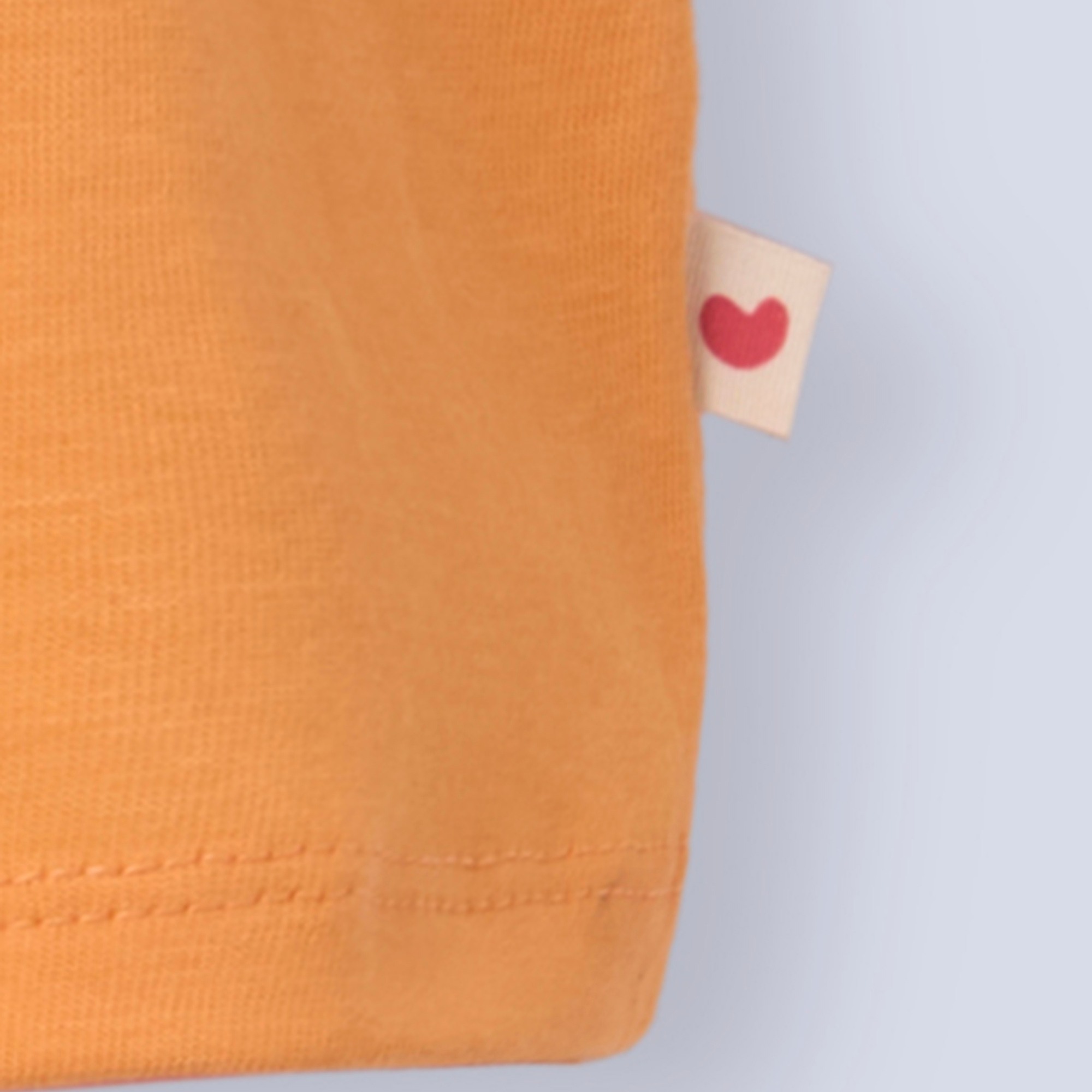 Ed-a-Mamma Infant Girls Orange Cotton Top with Floral Applique & Ruffle Sleeves