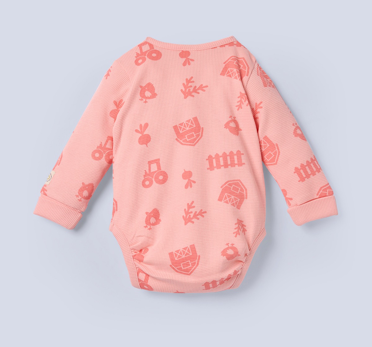 Ed-a-Mamma Baby Boys Bodysuit Pack of 2 Multi