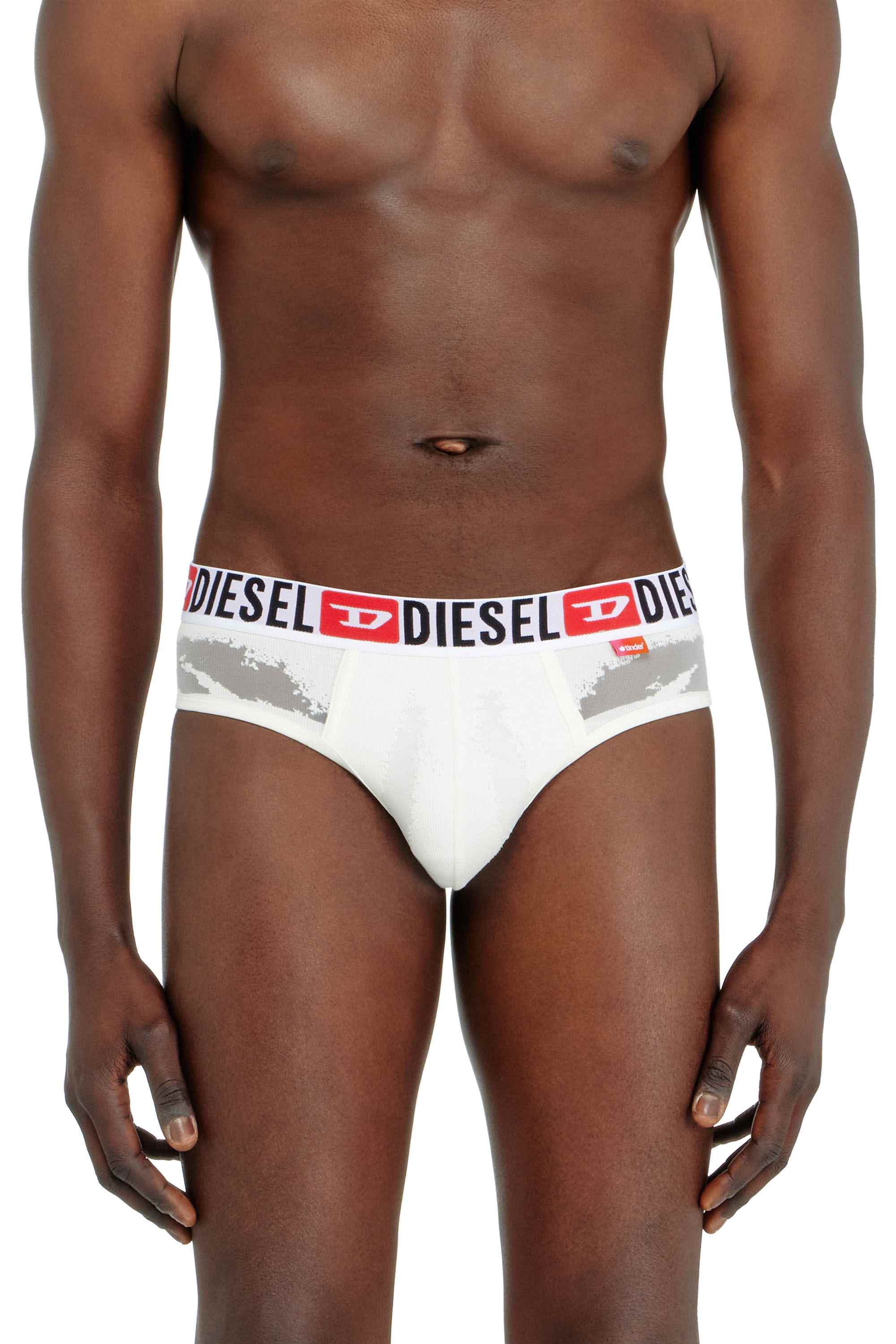 White Briefs with sheer devoré effect