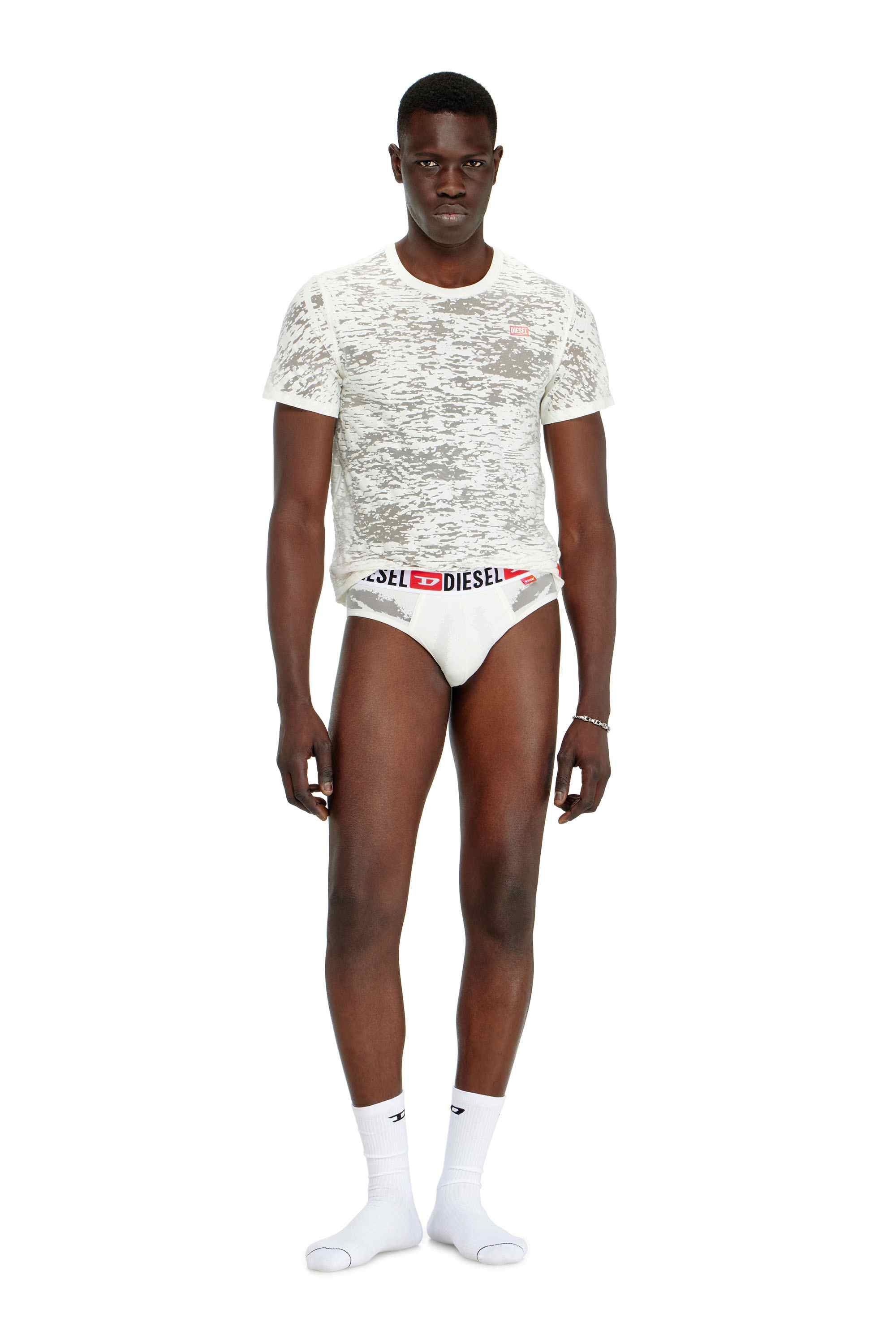 White Briefs with sheer devoré effect