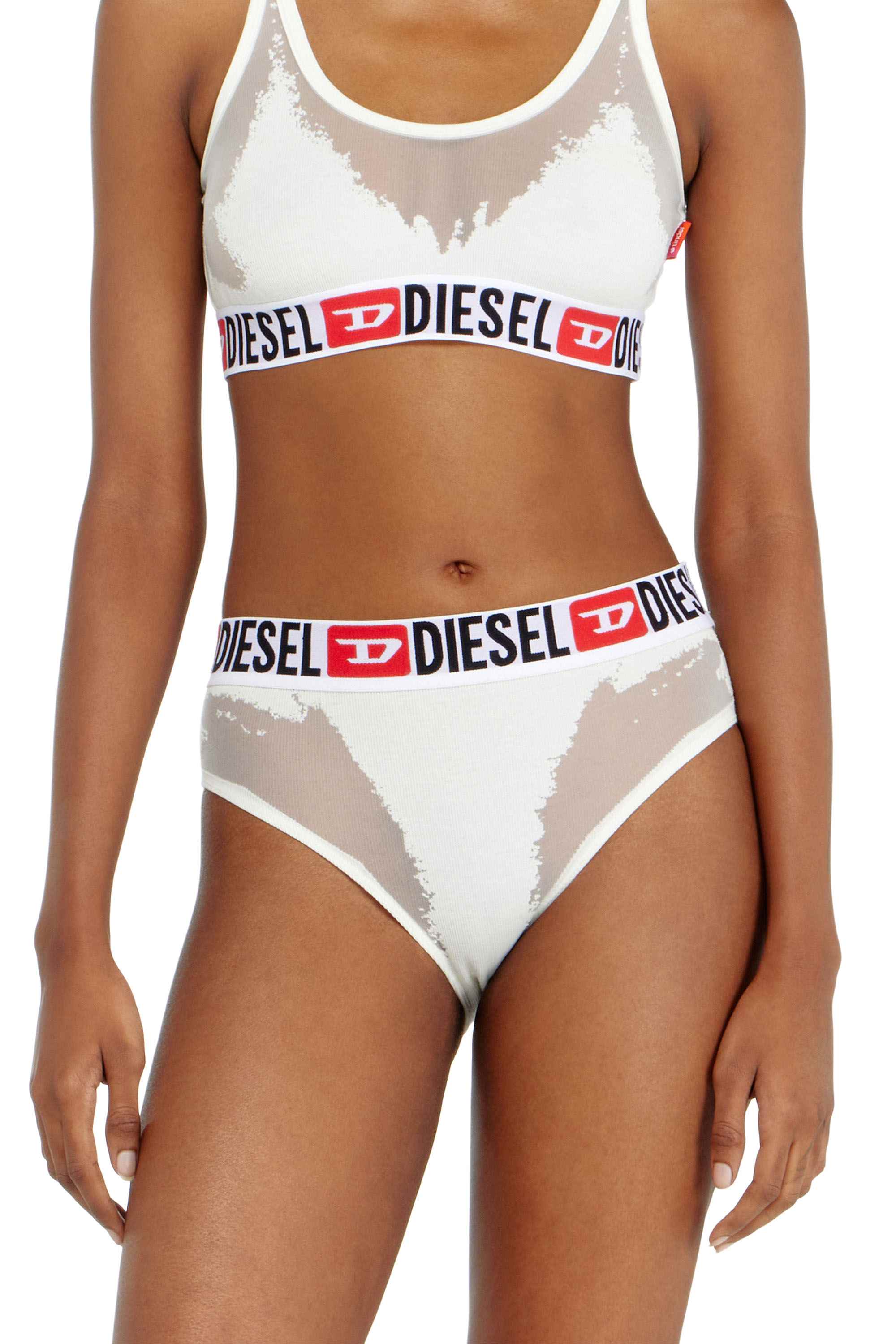White Briefs with sheer devoré effect