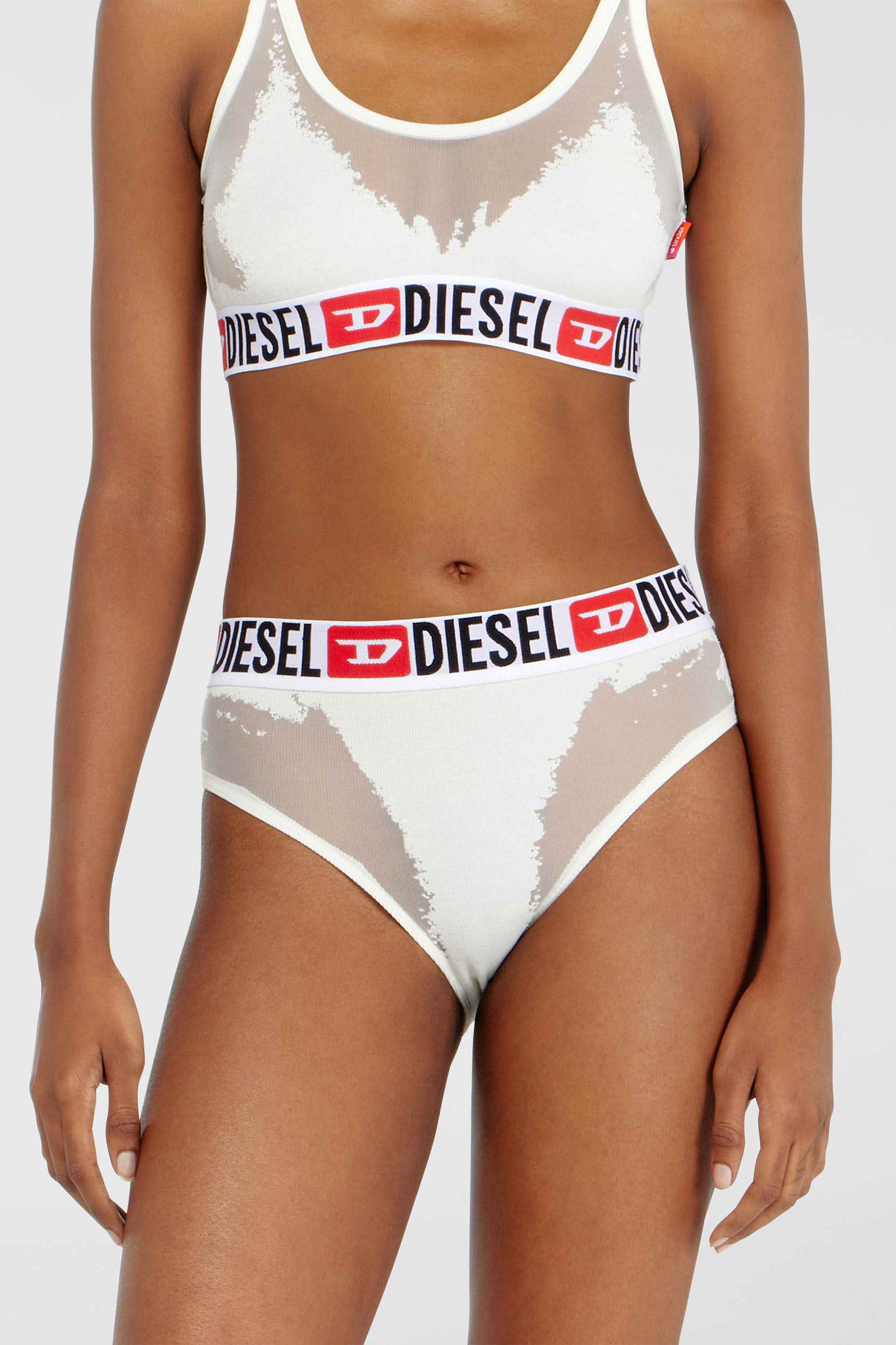 White Briefs with sheer devoré effect