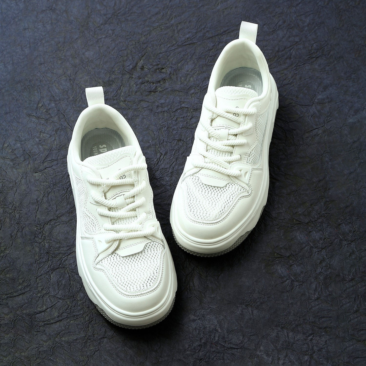 Roy Men  White Lace Up Sneaker