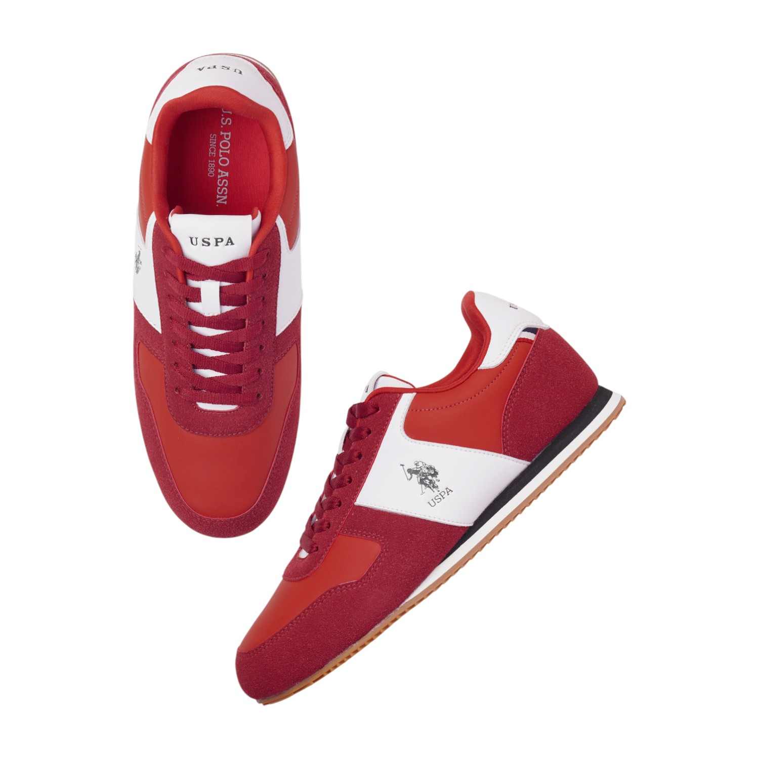 Men Enco Sneakers