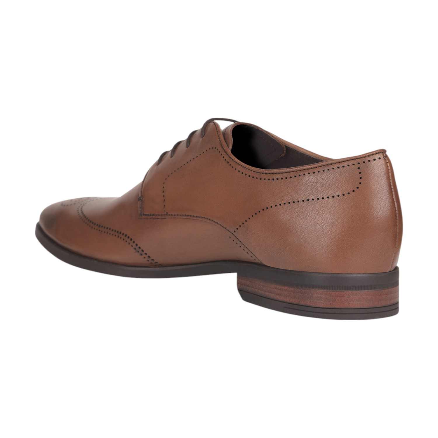 Hush Puppies | Men New York Br Derby Brown Formal Shoes|3