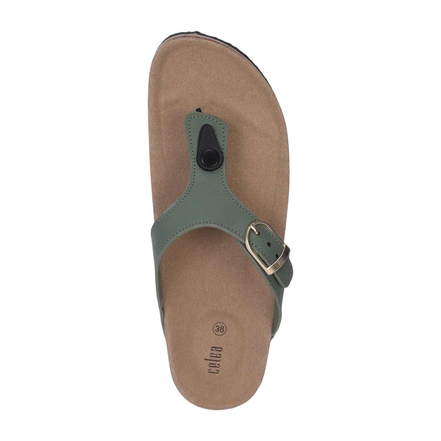 Women Olive T Strap Chappal with Buckel