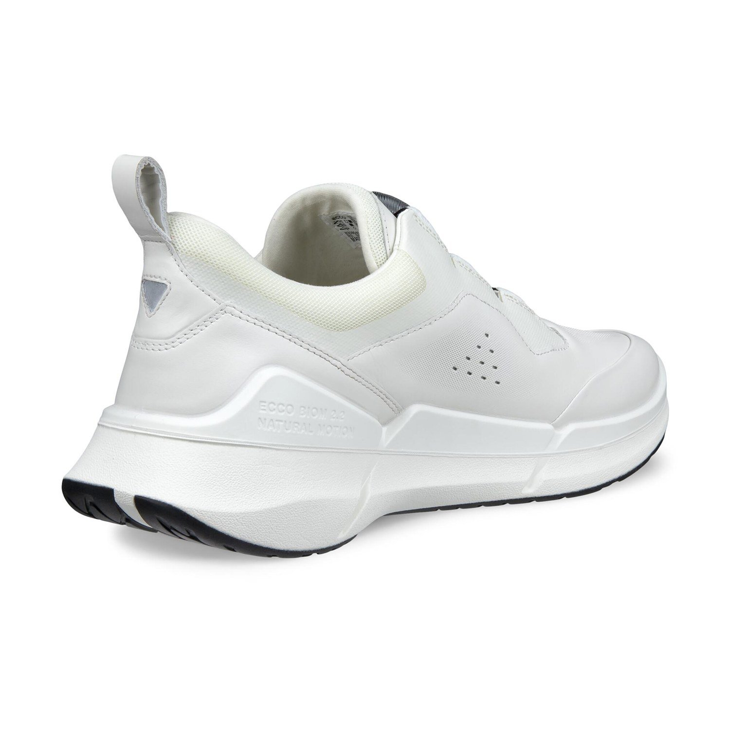 NEW ECCO BIOM 2.2 M BOA V1