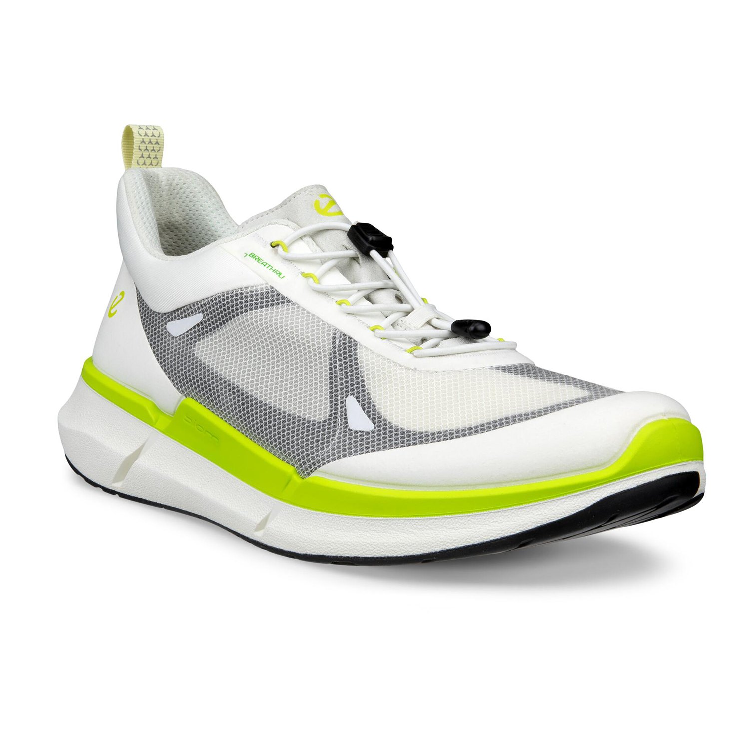 NEW ECCO BIOM 2.2 M BREATHRU V