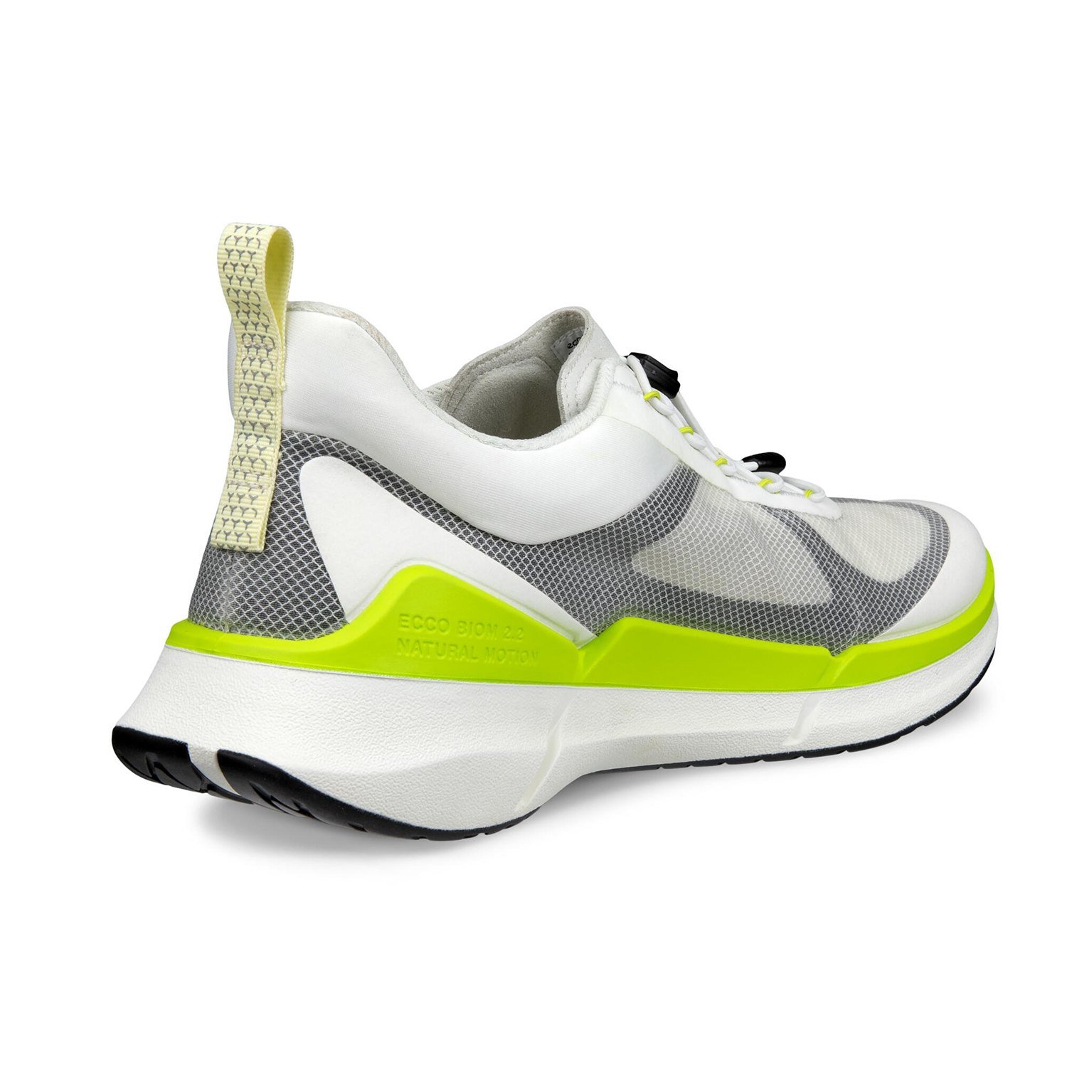 NEW ECCO BIOM 2.2 M BREATHRU V