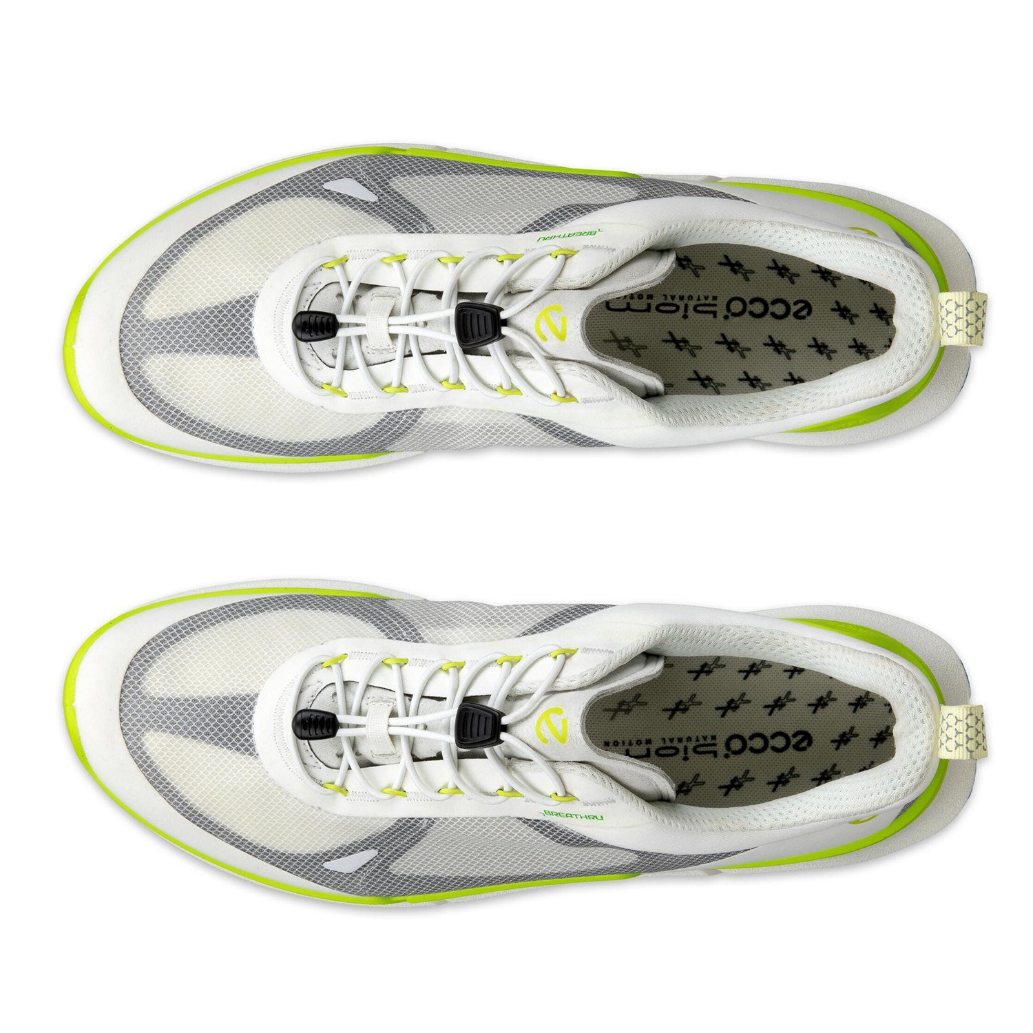 NEW ECCO BIOM 2.2 M BREATHRU V