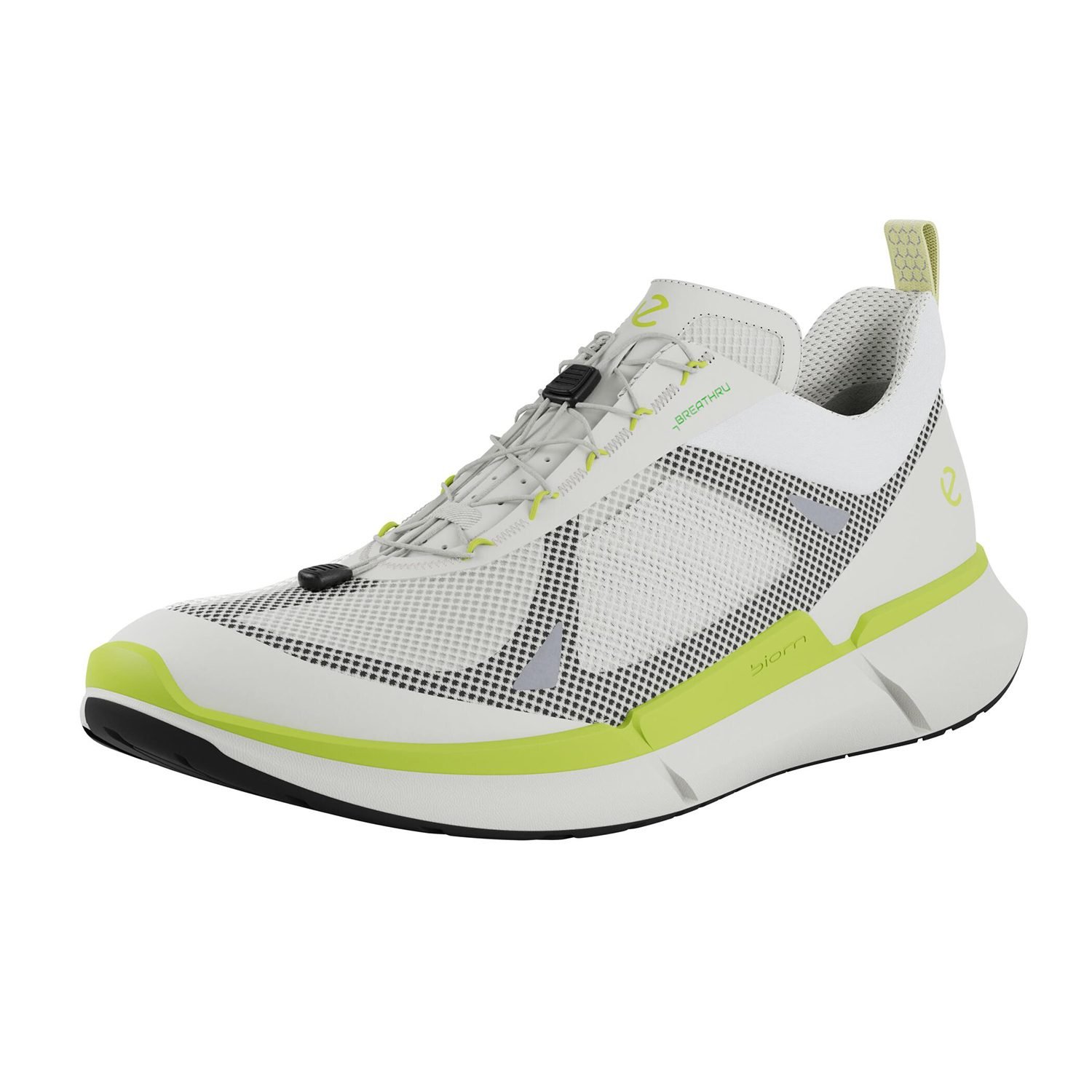 NEW ECCO BIOM 2.2 M BREATHRU V