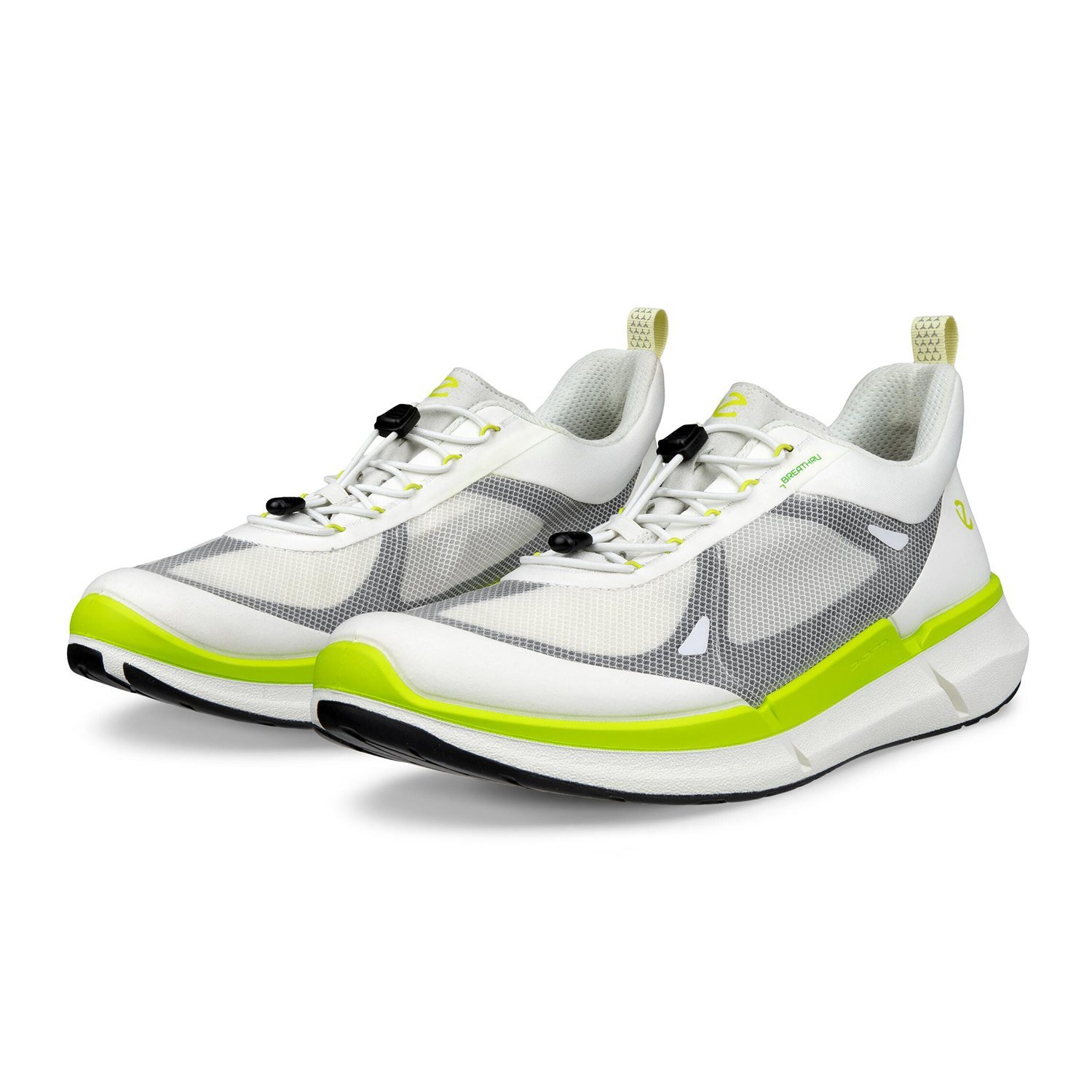 NEW ECCO BIOM 2.2 M BREATHRU V