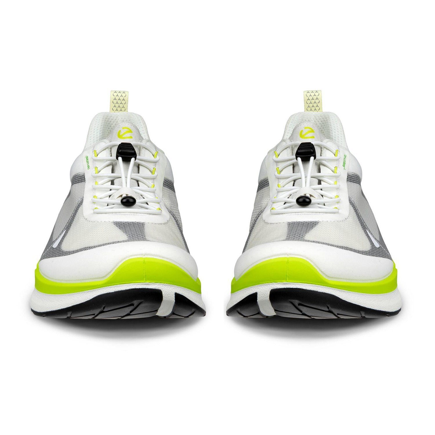 NEW ECCO BIOM 2.2 M BREATHRU V