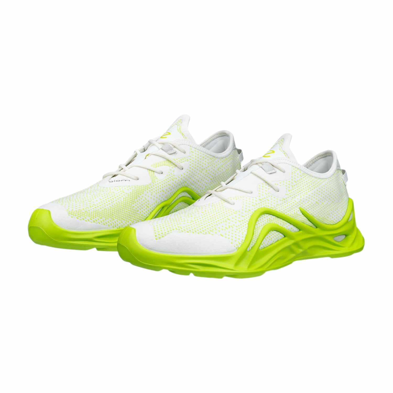 ECCO BIOM INFINITE M TEX