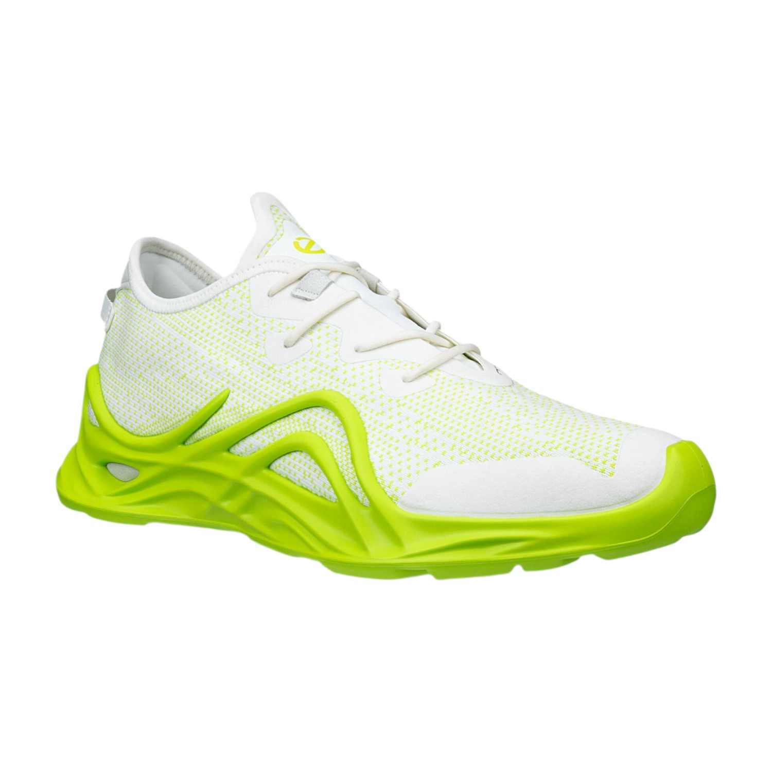 ECCO BIOM INFINITE M TEX