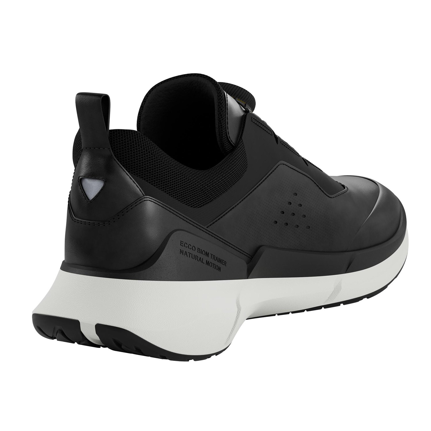 NEW ECCO BIOM 2.2 W BOA V1