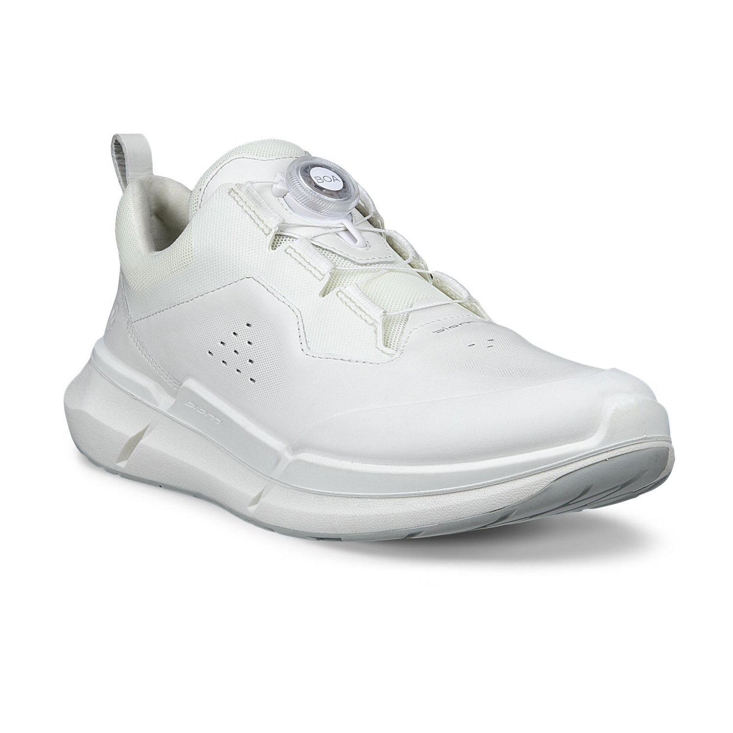 NEW ECCO BIOM 2.2 W BOA V1