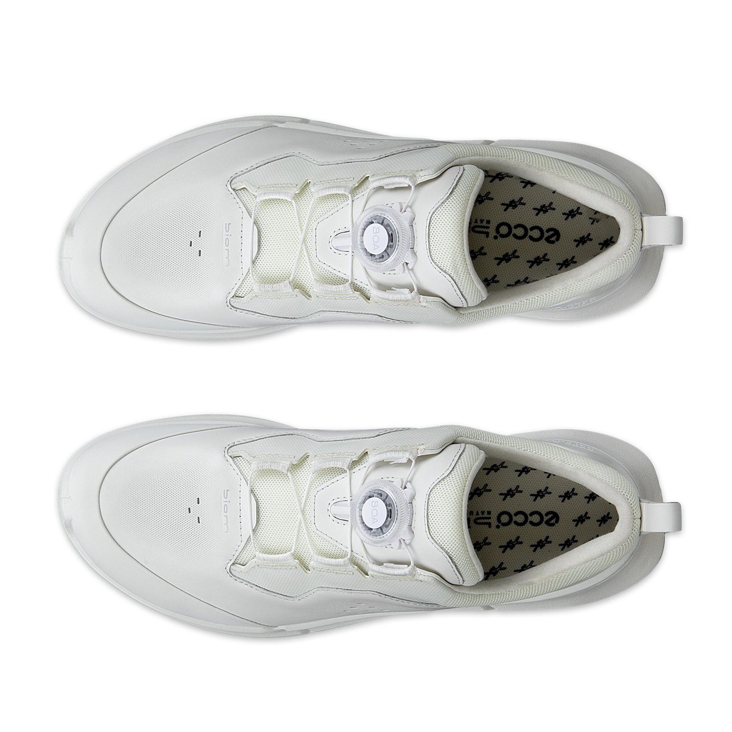 NEW ECCO BIOM 2.2 W BOA V1
