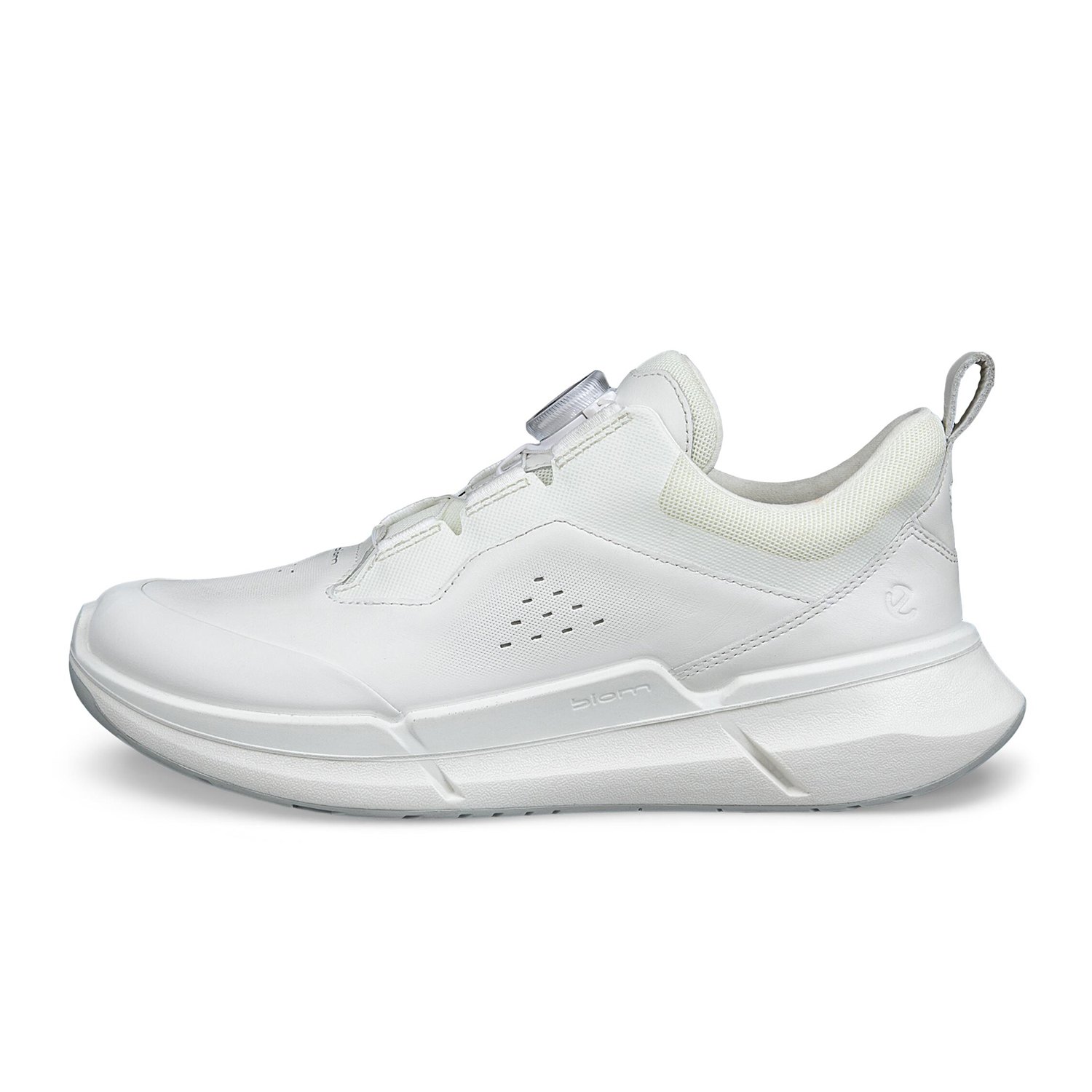 NEW ECCO BIOM 2.2 W BOA V1