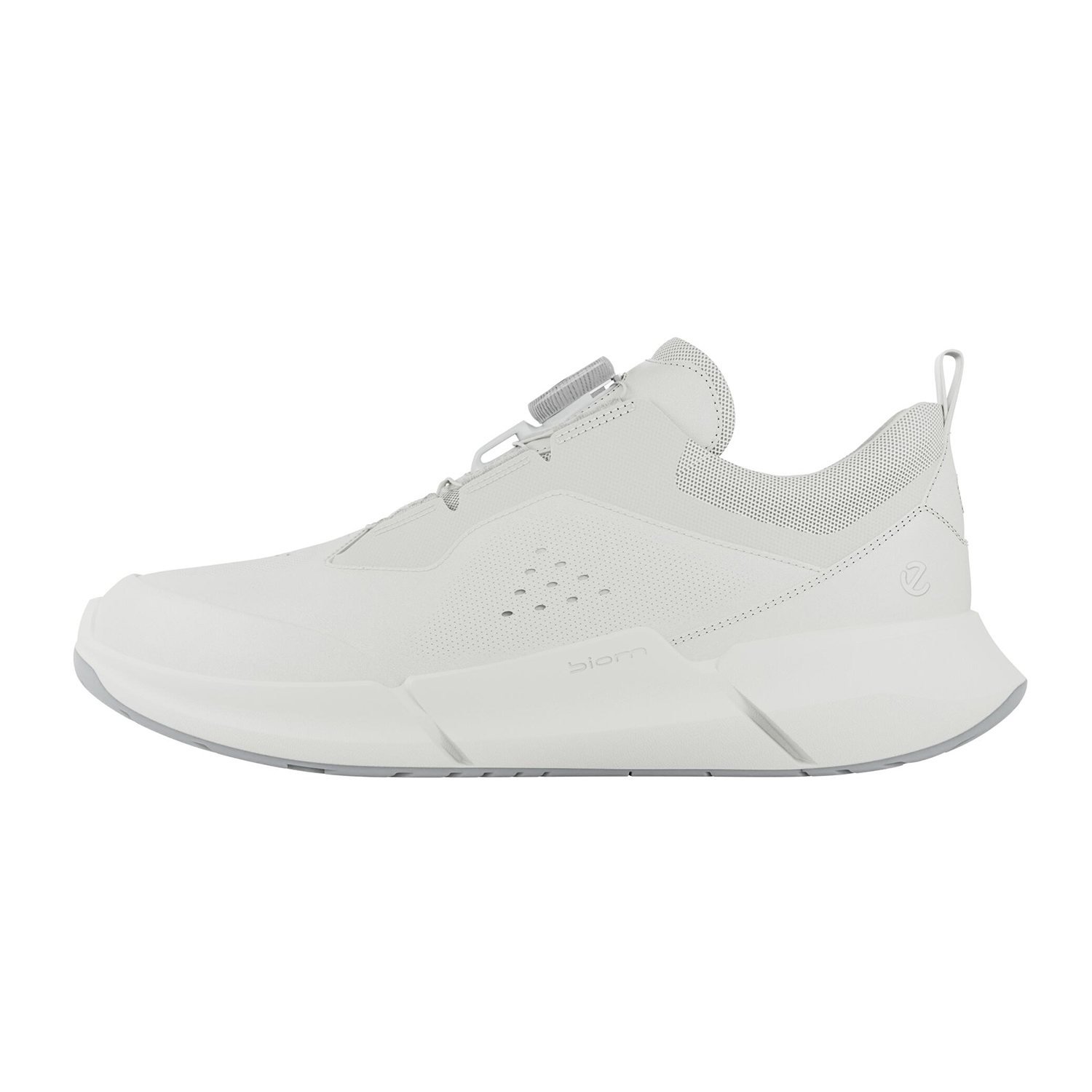 NEW ECCO BIOM 2.2 W BOA V1