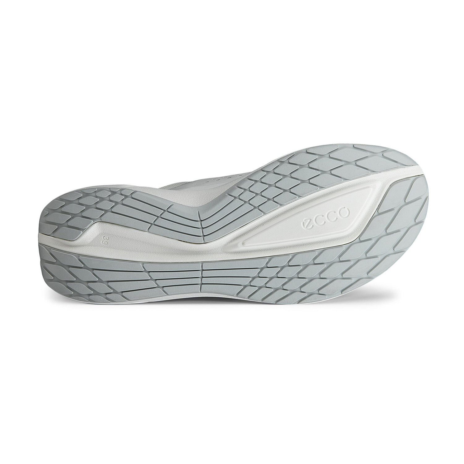 NEW ECCO BIOM 2.2 W BOA V1