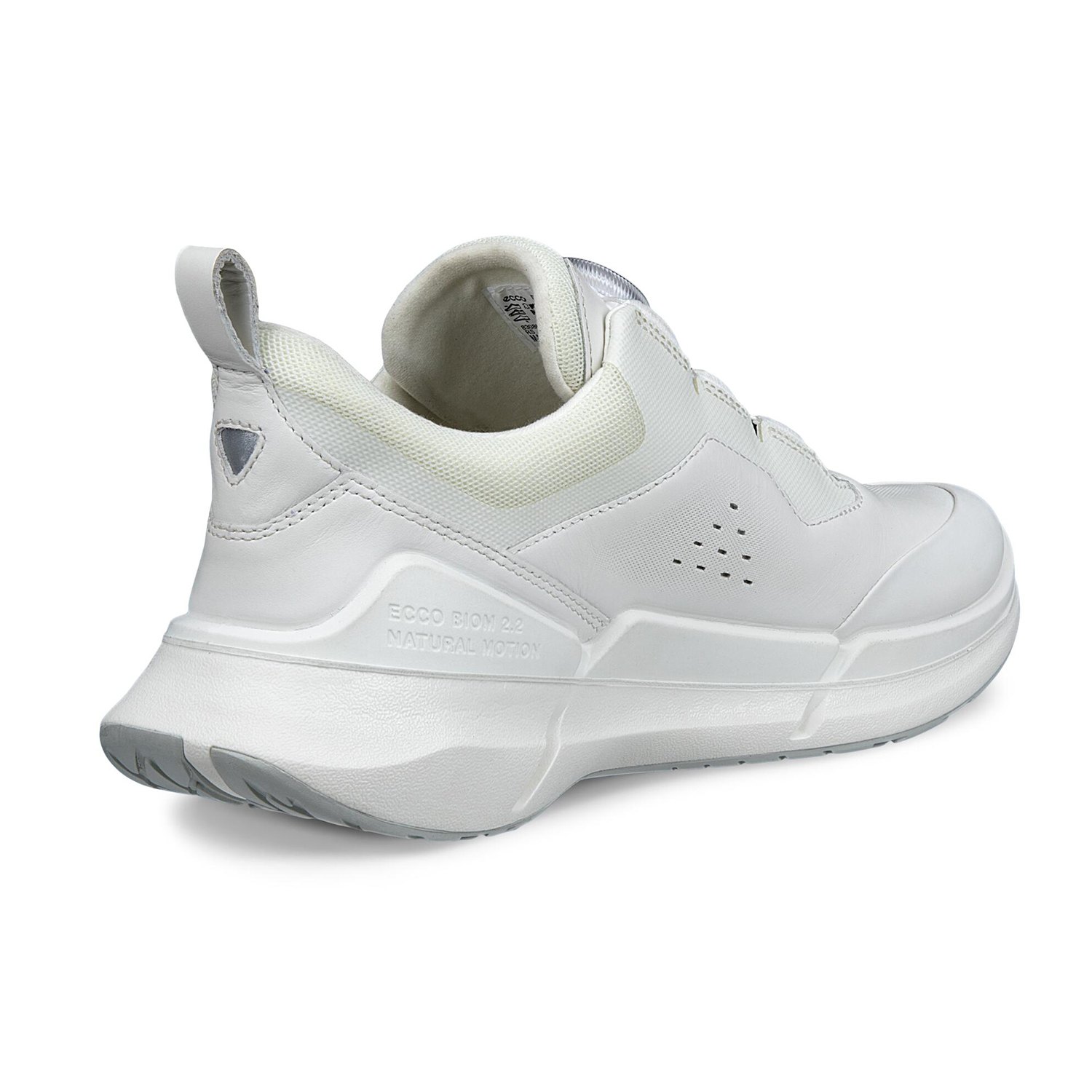 NEW ECCO BIOM 2.2 W BOA V1