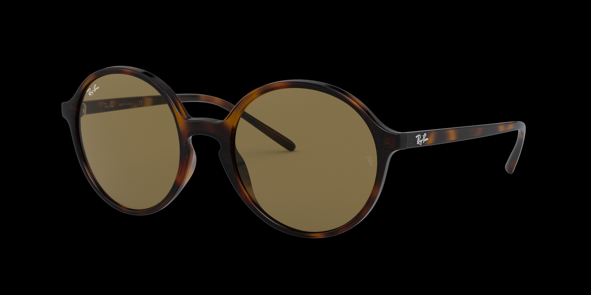 0RB4304 Injected Women Sunglasses