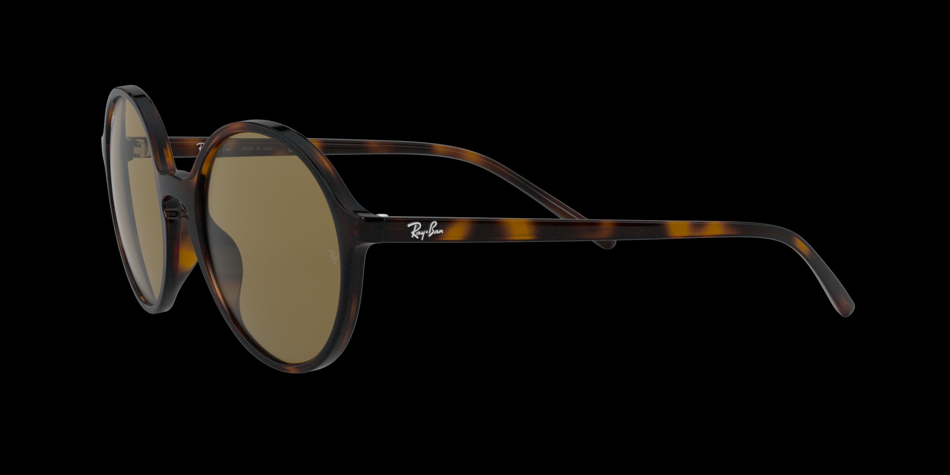 0RB4304 Injected Women Sunglasses