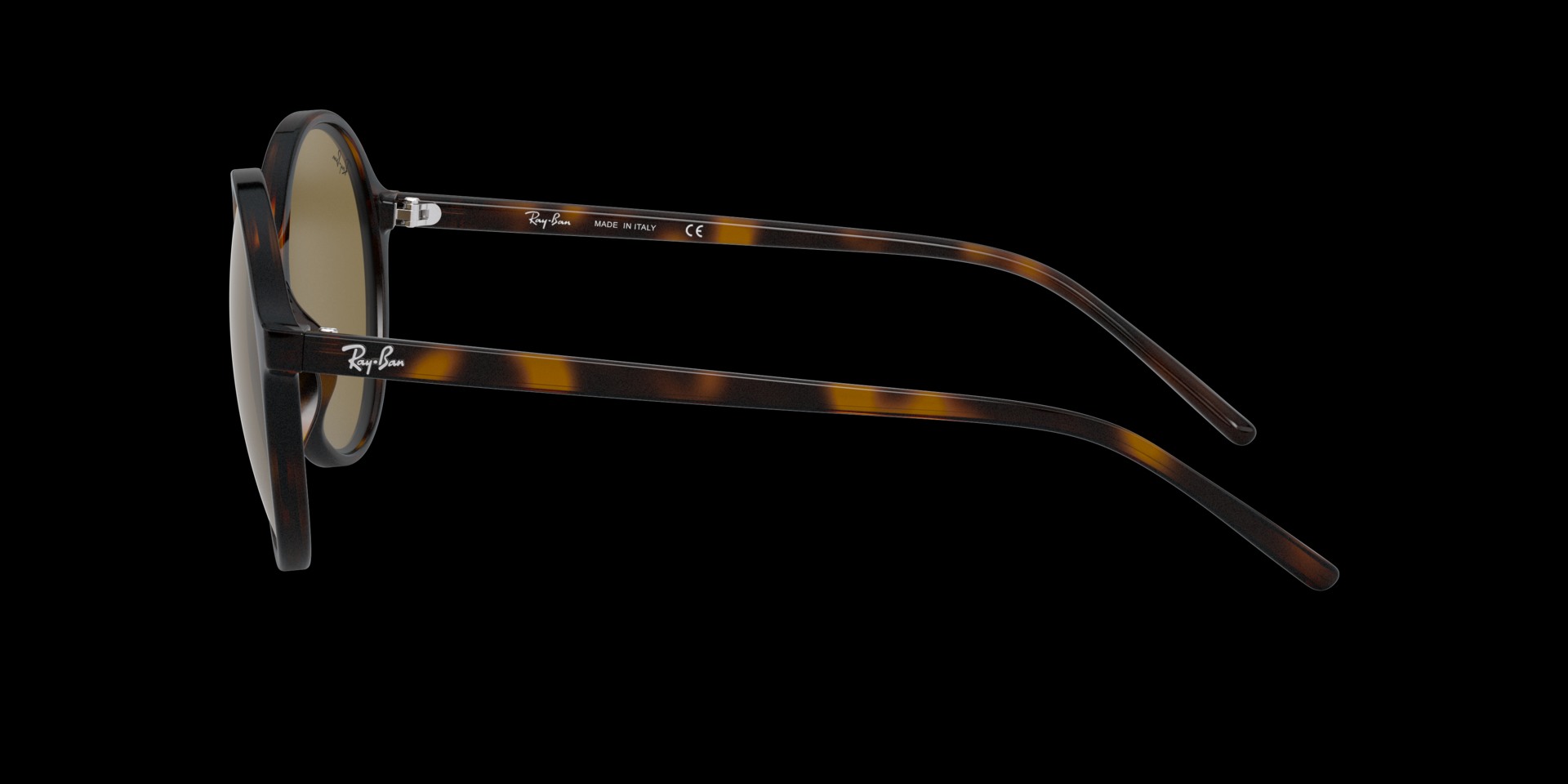 0RB4304 Injected Women Sunglasses
