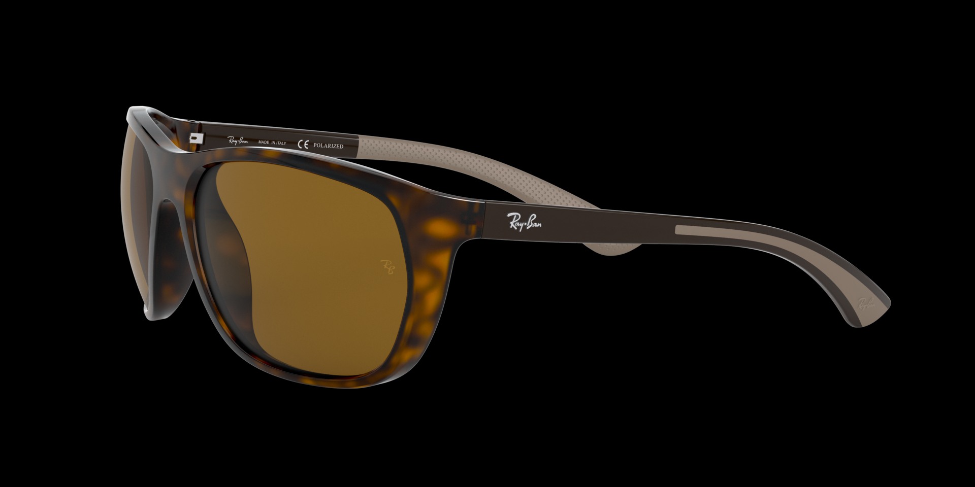 0RB4307 Injected Men Sunglasses