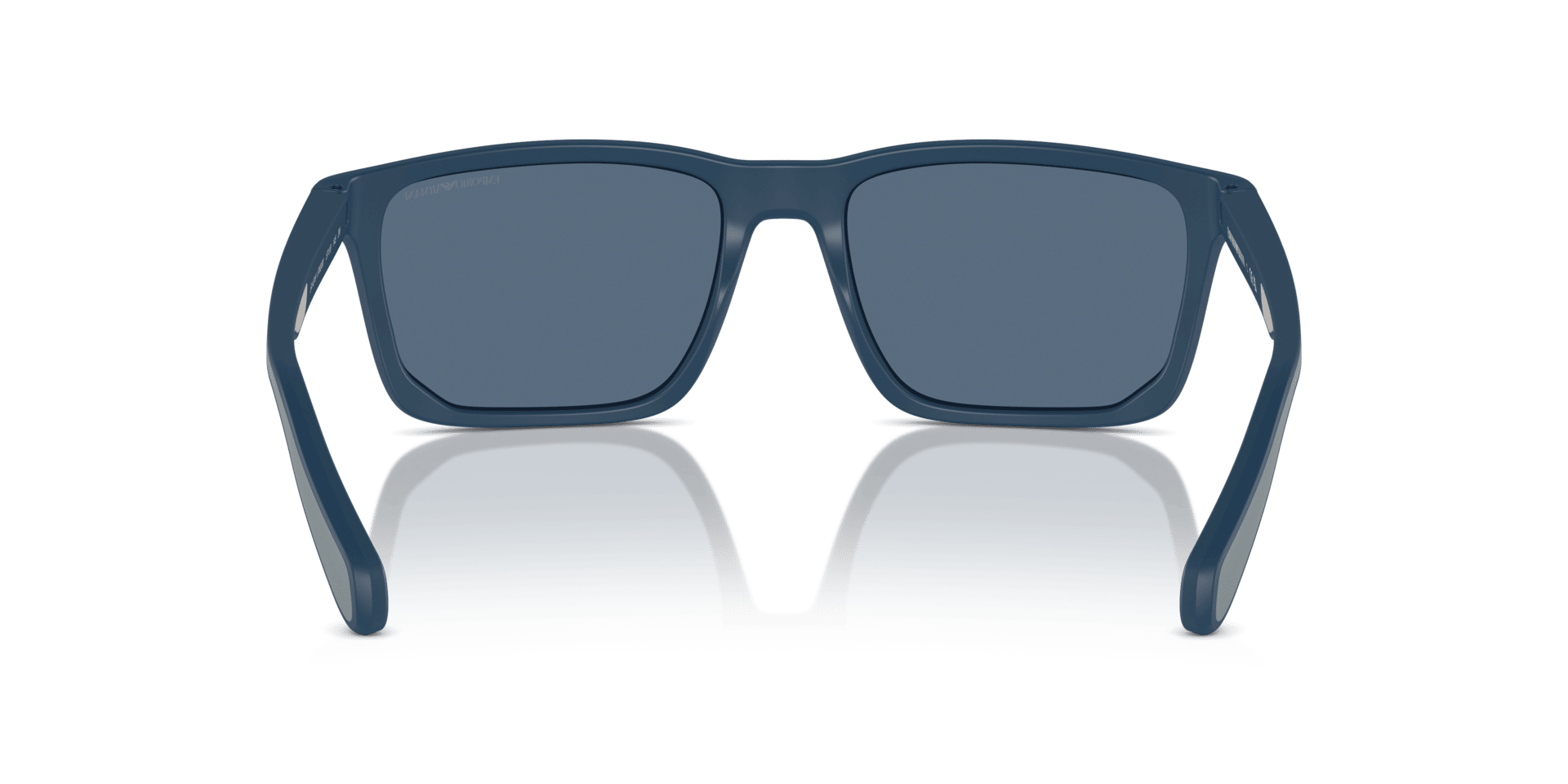 0EA4219 Injected Men Sunglasses