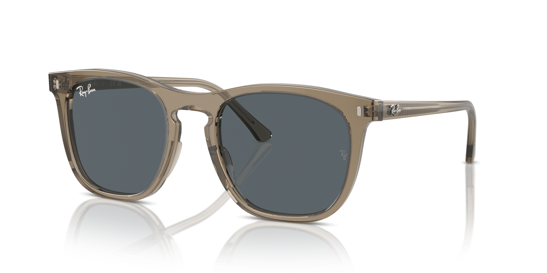 0RB2210 Propionate Unisex Sunglasses