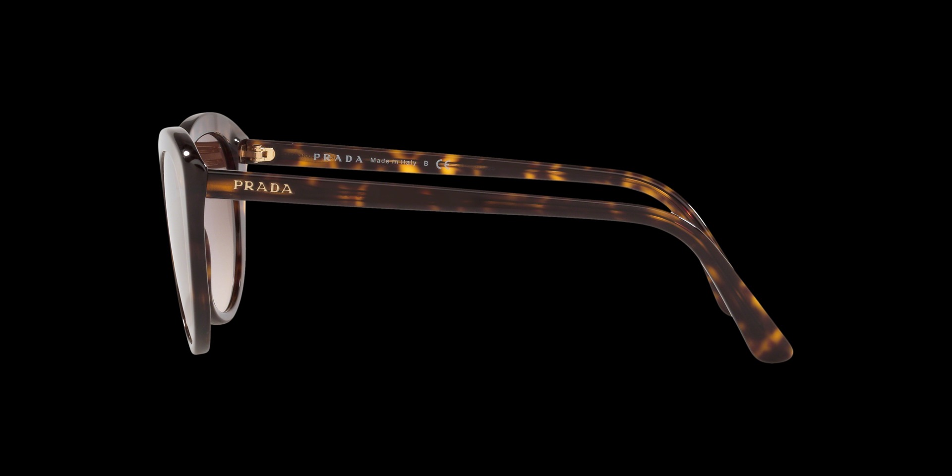 0PR 02VS Acetate Women Sunglasses