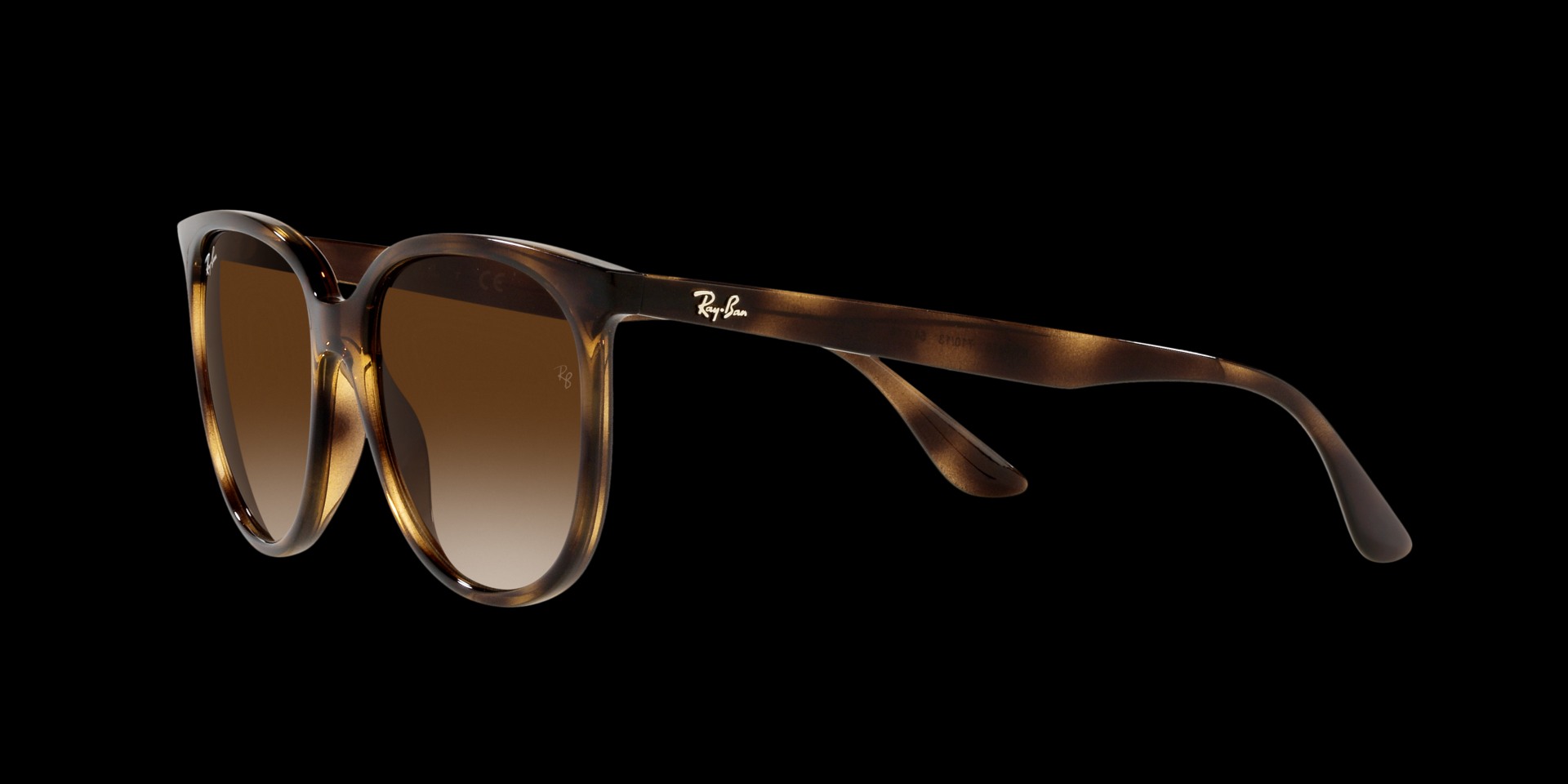 0RB4378 Injected Women Sunglasses