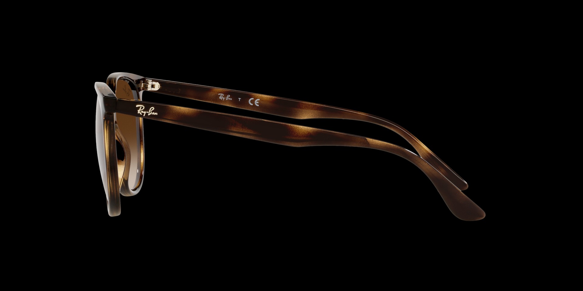 0RB4378 Injected Women Sunglasses