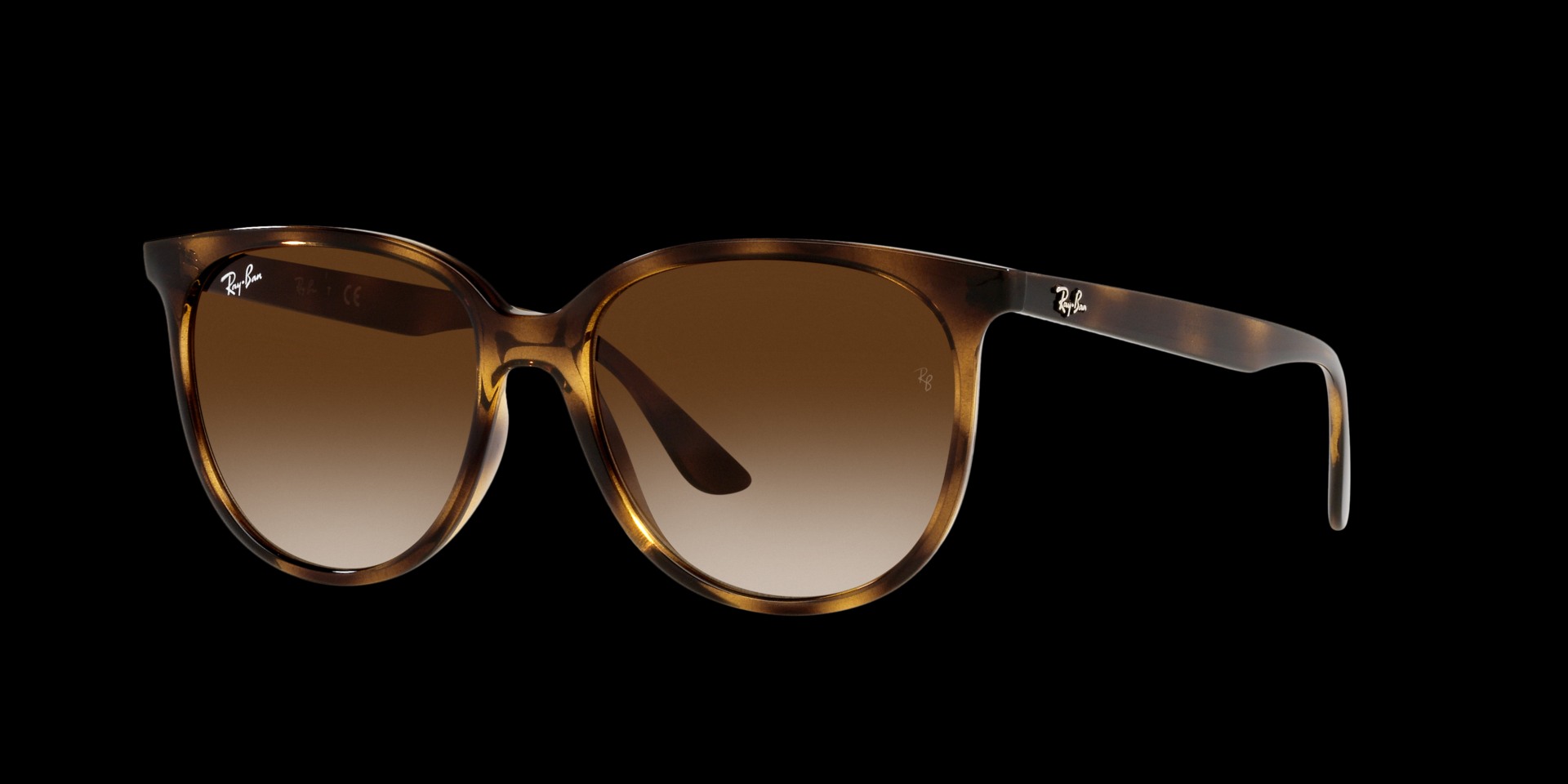 0RB4378 Injected Women Sunglasses
