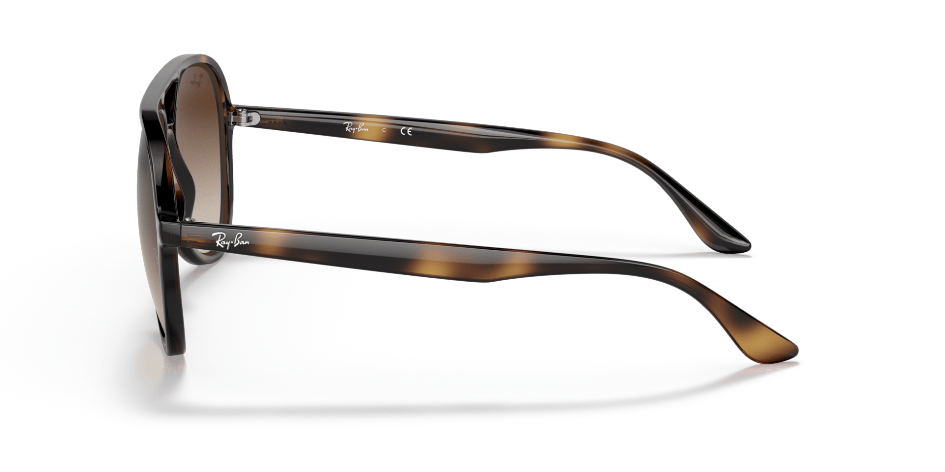 0RB4376 Injected Unisex Sunglasses