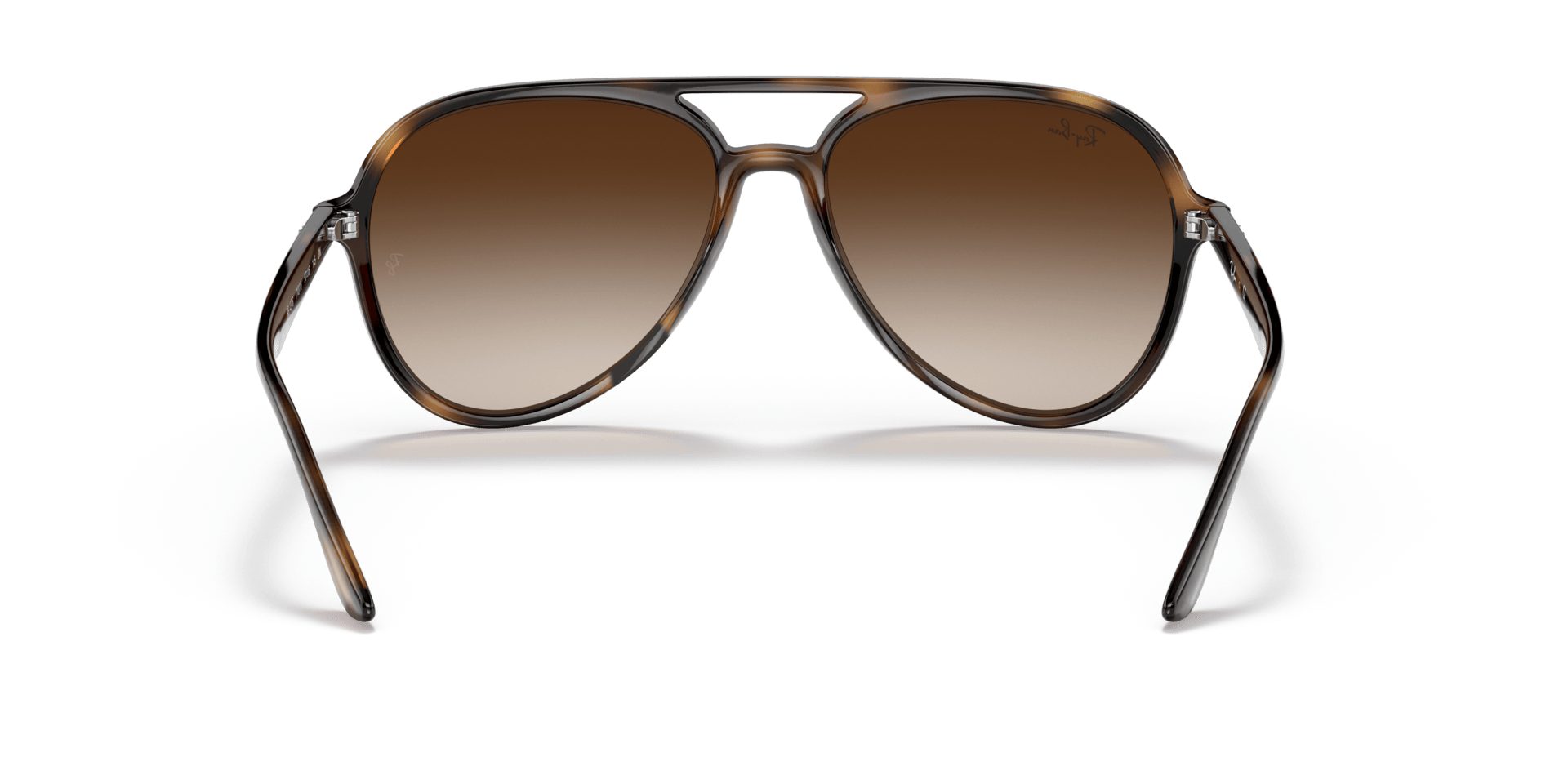 0RB4376 Injected Unisex Sunglasses