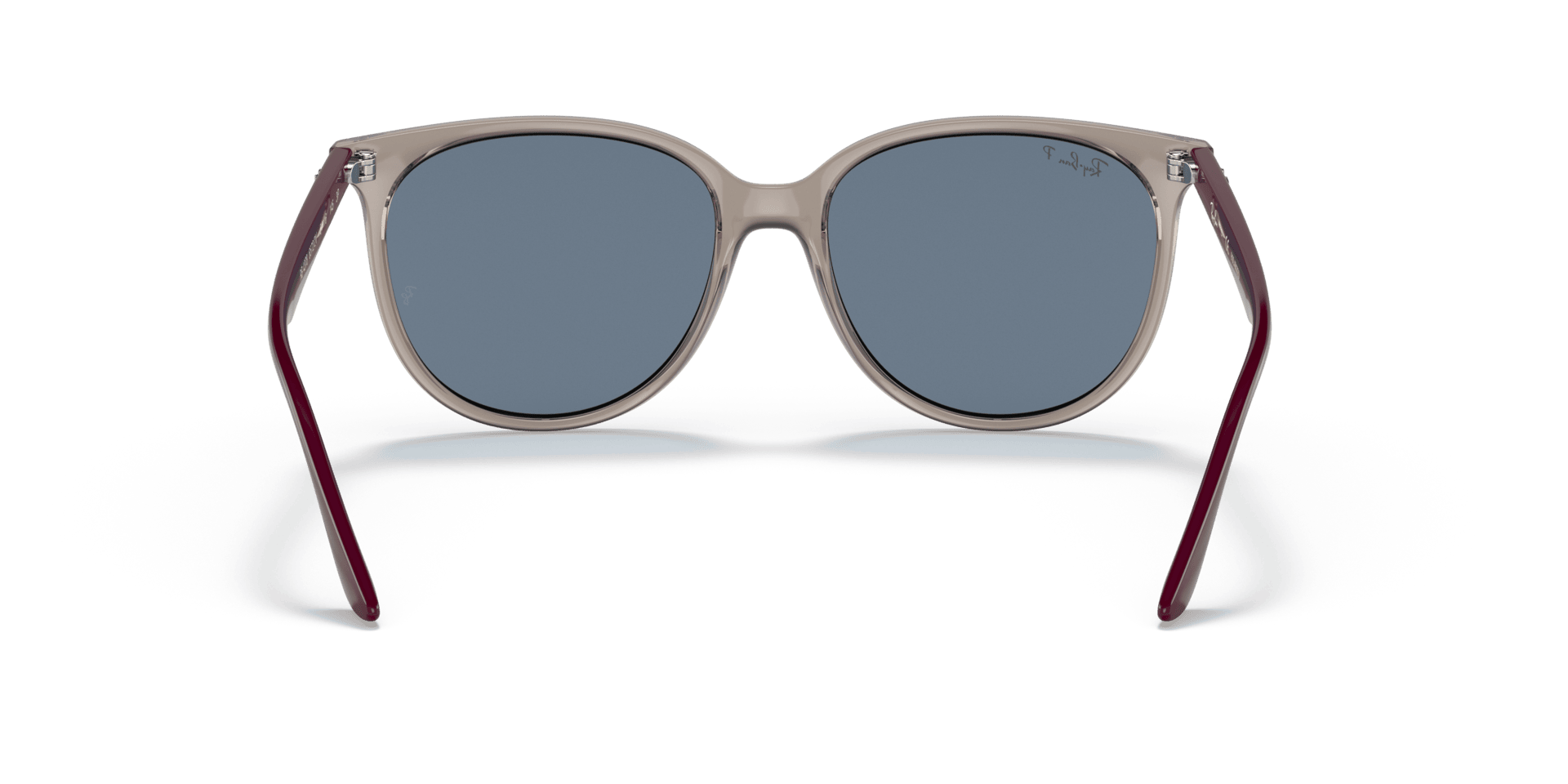 0RB4378 Injected Women Sunglasses