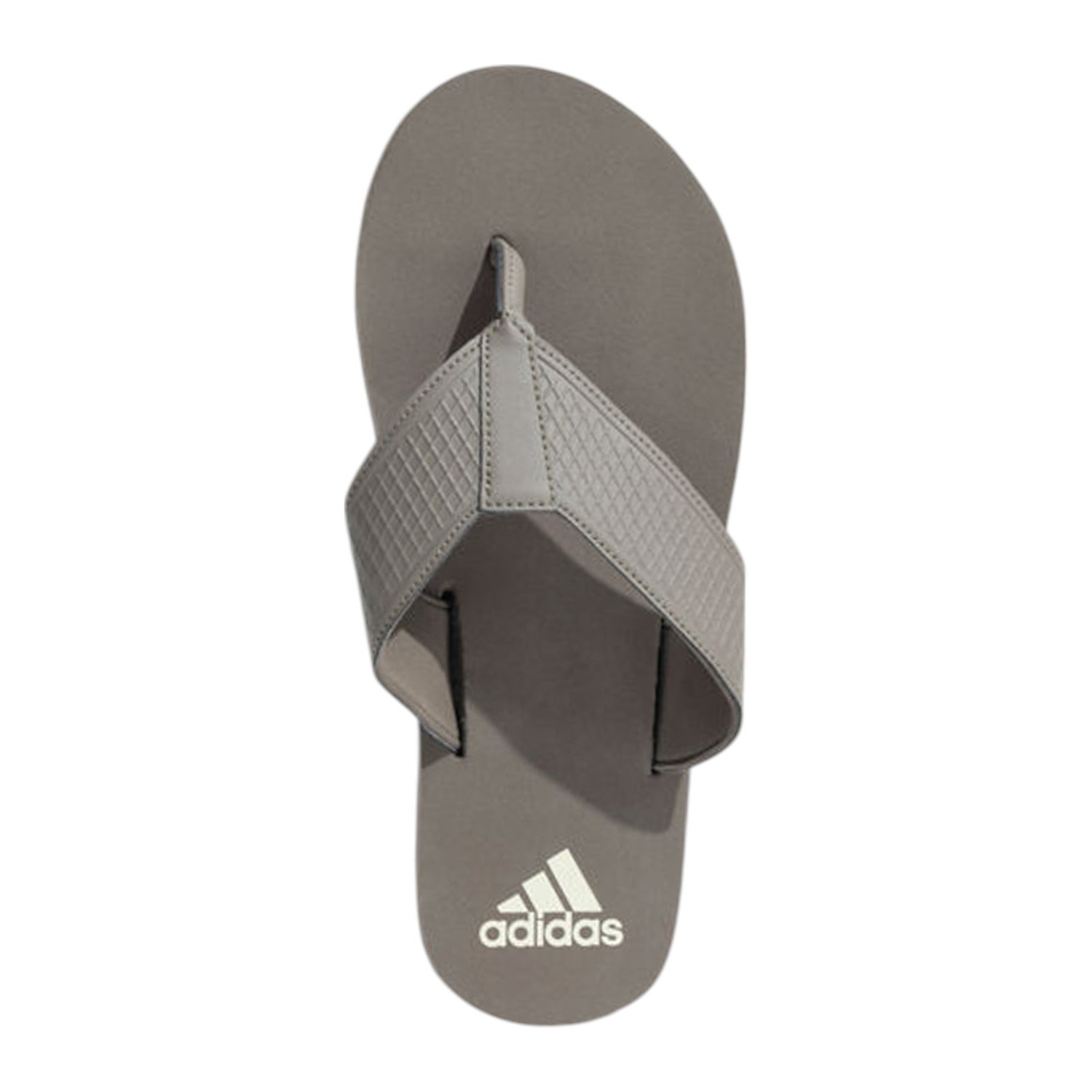 Men Urbanscape M Flipflops Grey