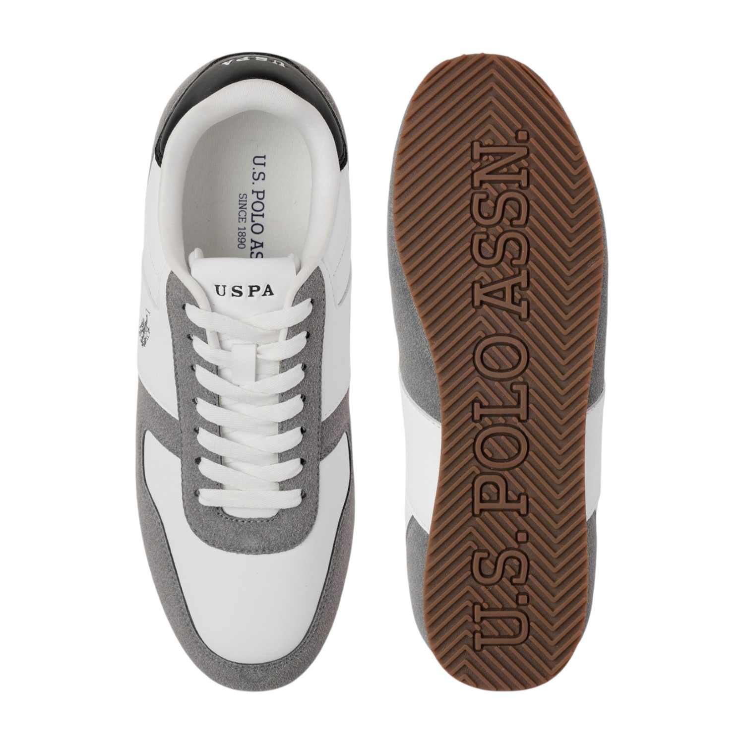 Men Enco Colourblocked Sneakers