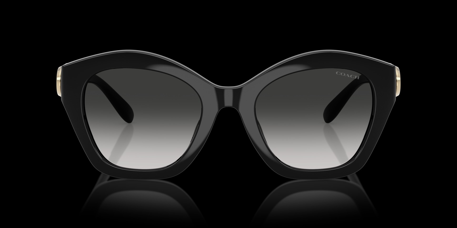 Coach Black Injected Women Sunglass