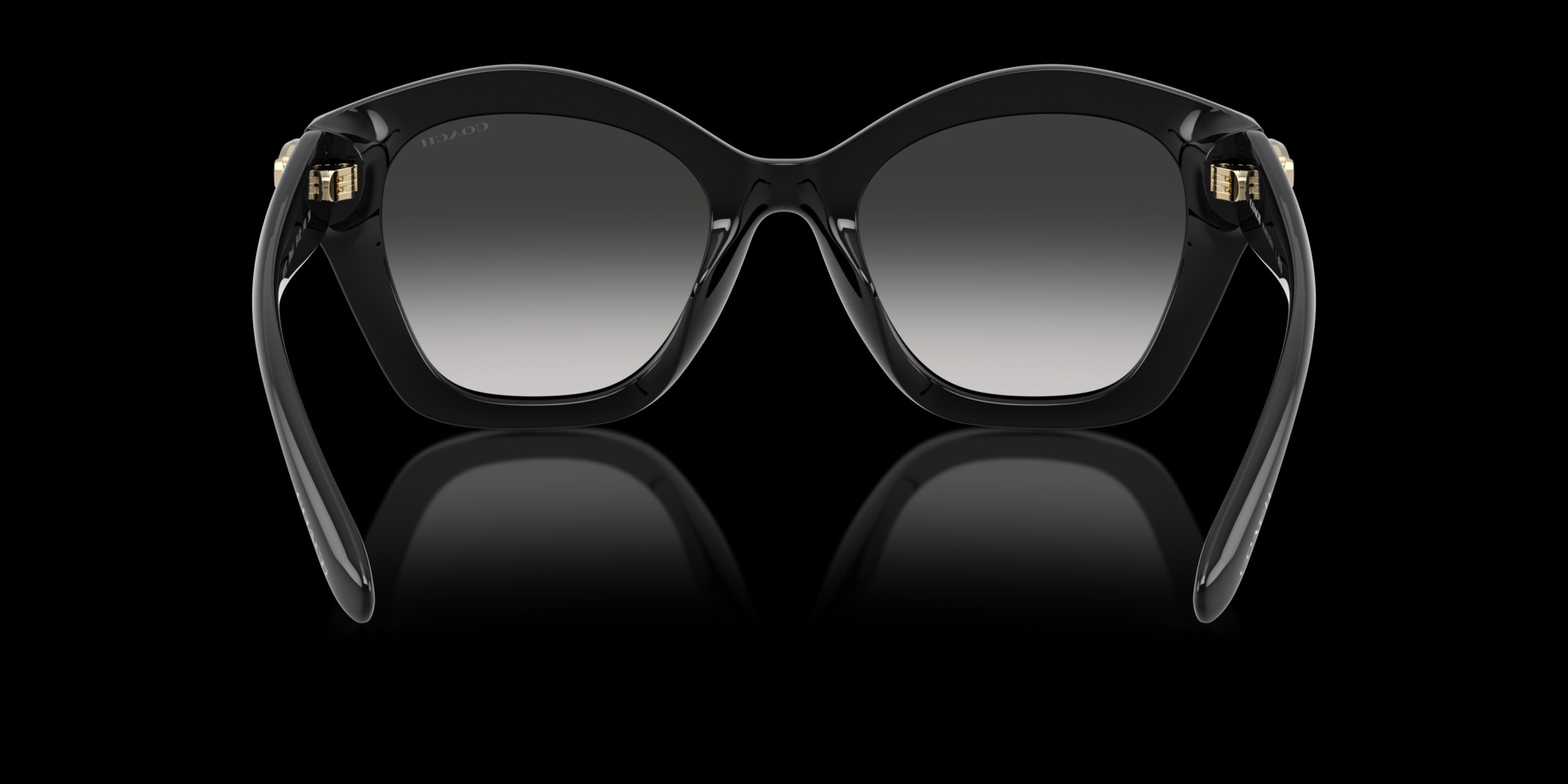 Coach Black Injected Women Sunglass