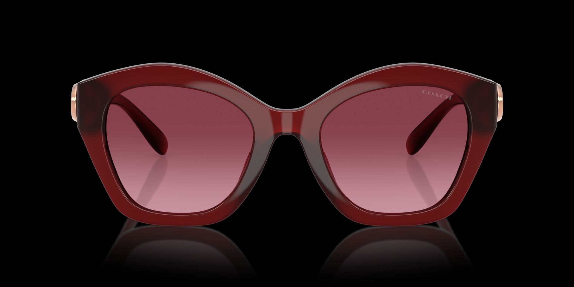 Coach Purple/Reddish Injected Women Sunglass