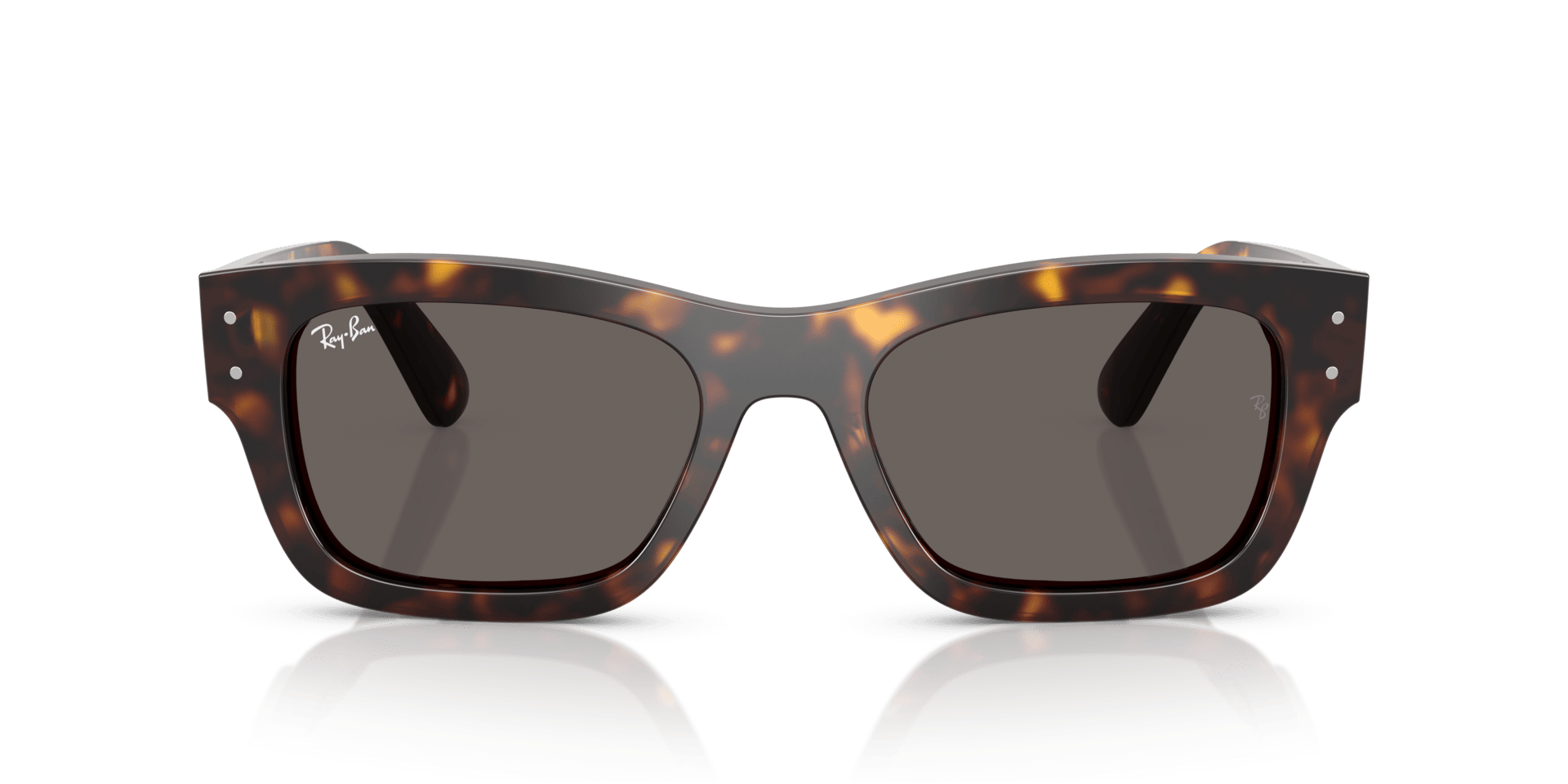 0RB7683S Acetate Unisex Sunglasses
